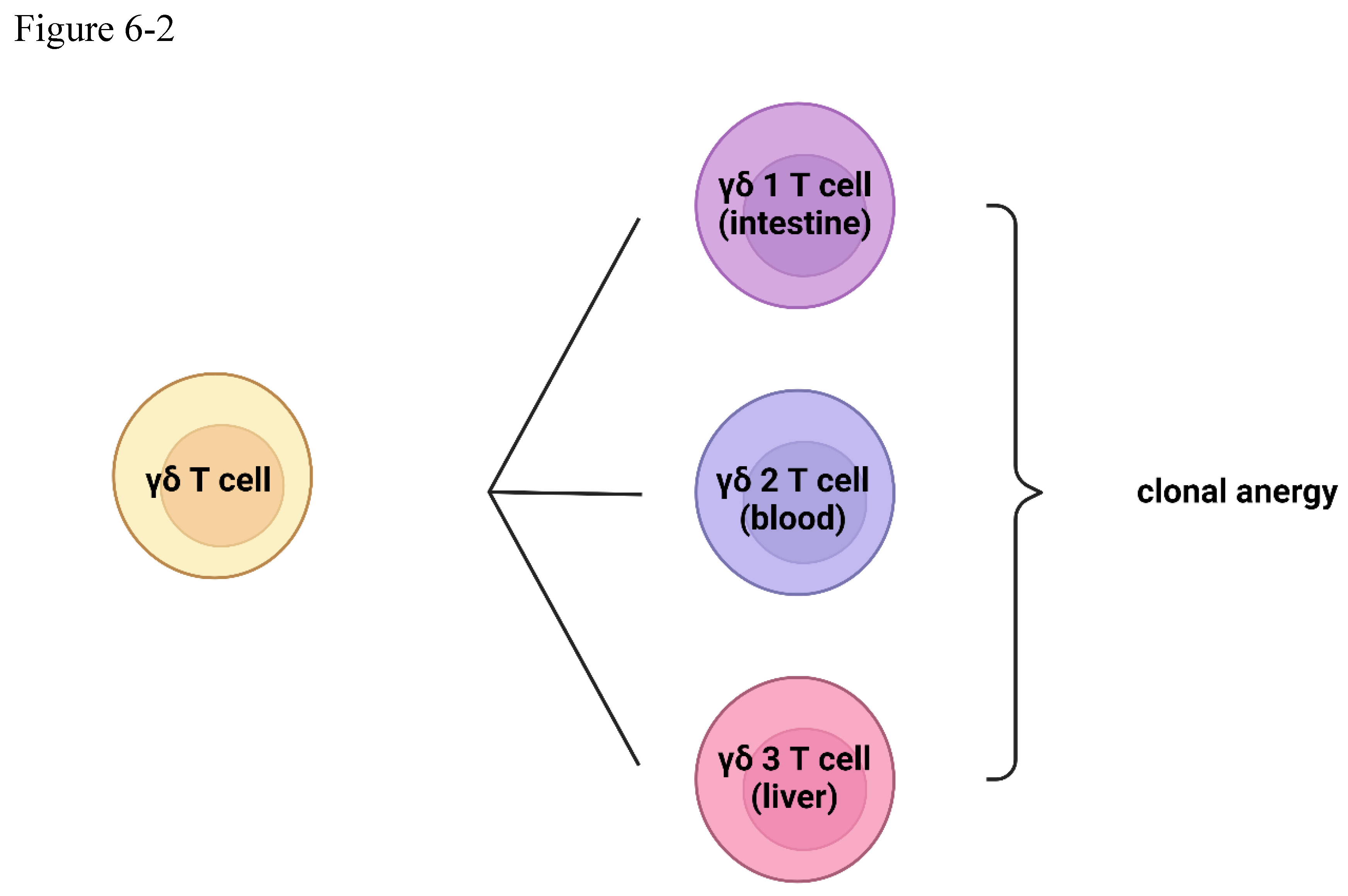 Preprints 102687 g006b