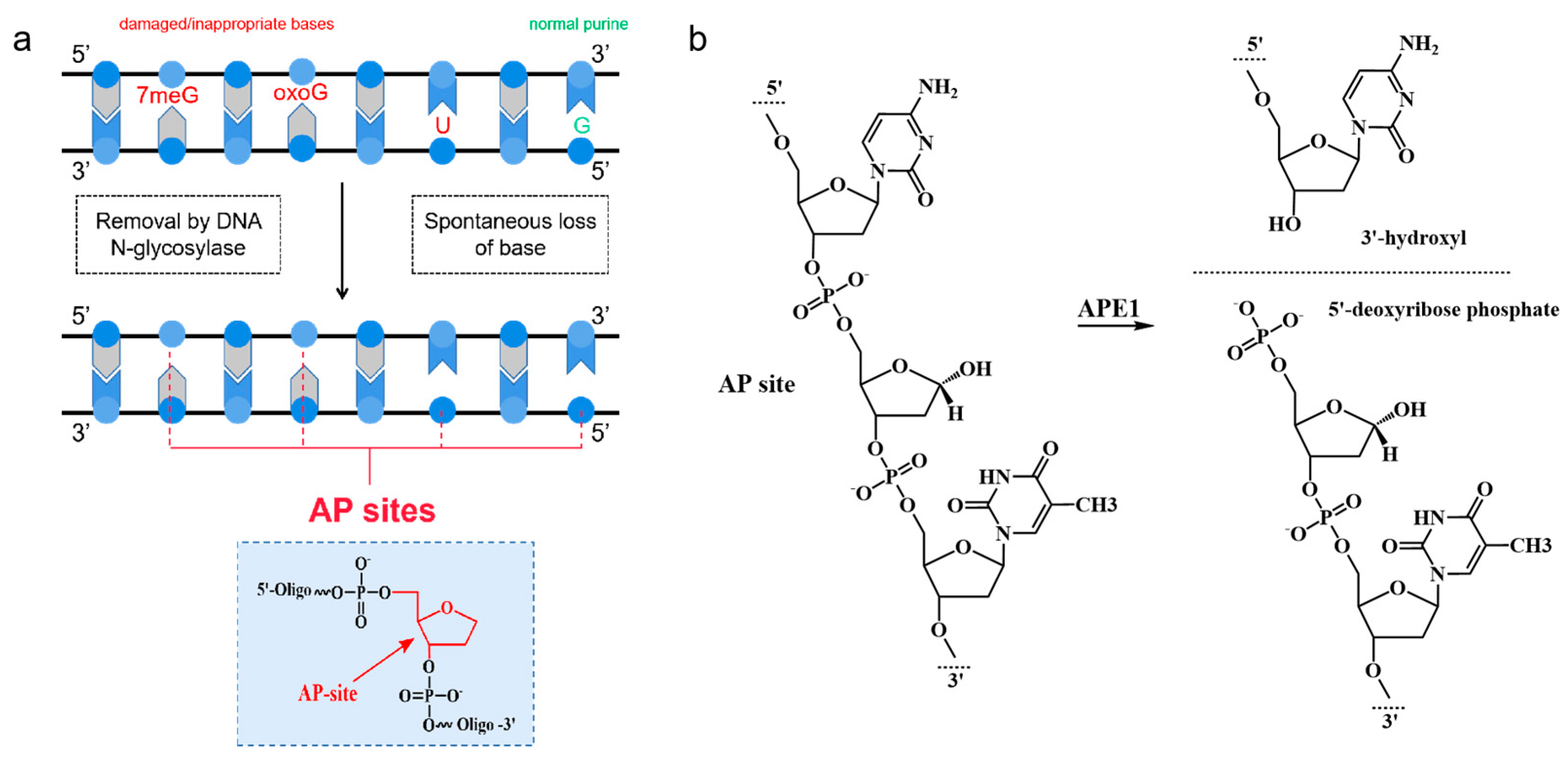 Preprints 78096 g003