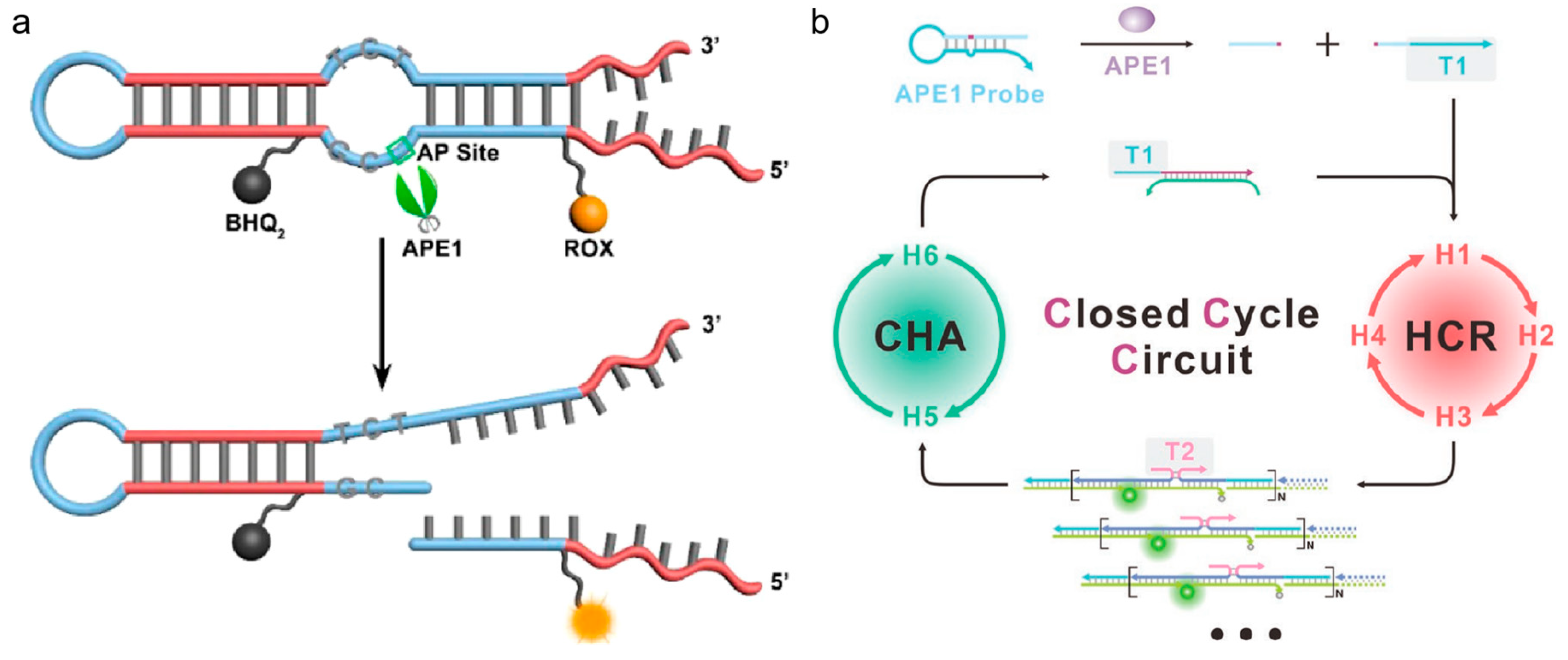 Preprints 78096 g004