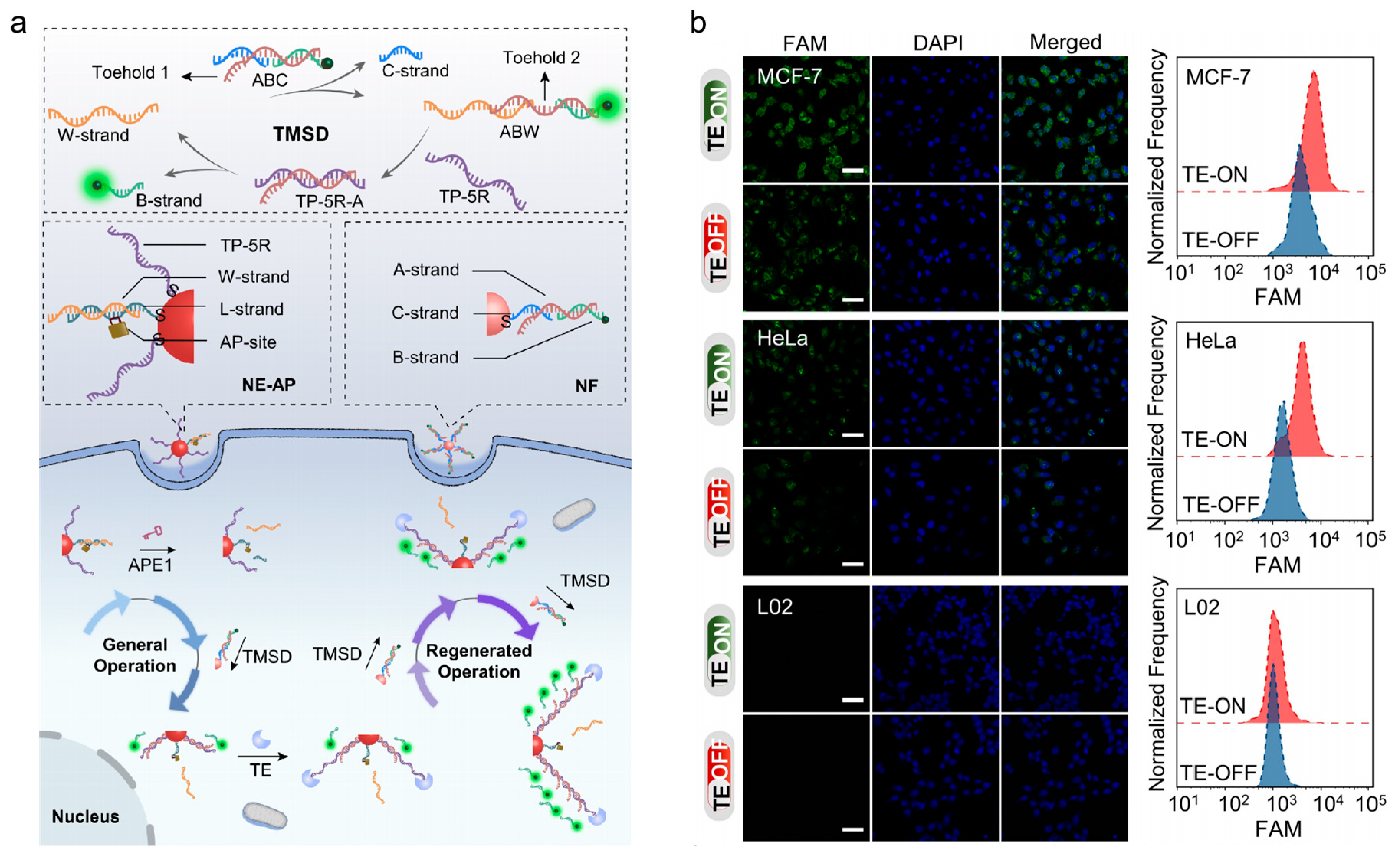 Preprints 78096 g006