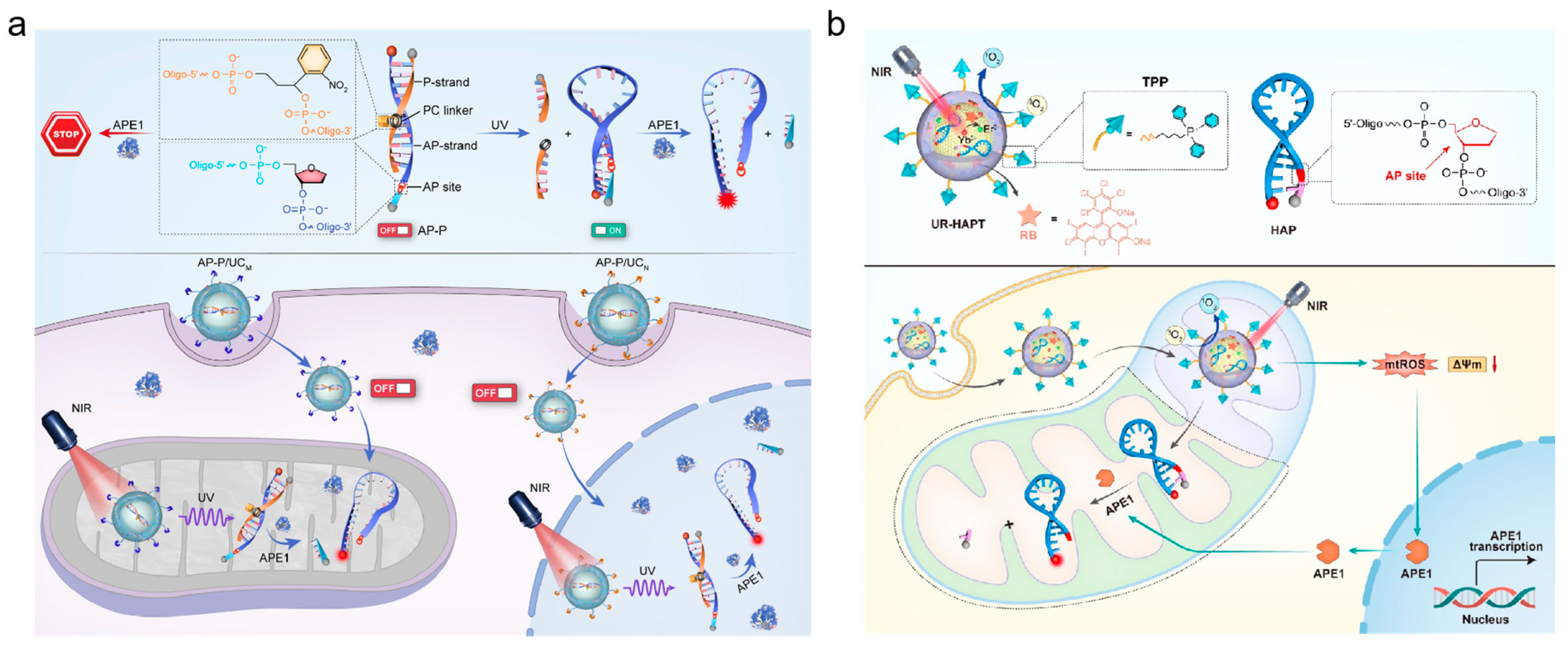 Preprints 78096 g007