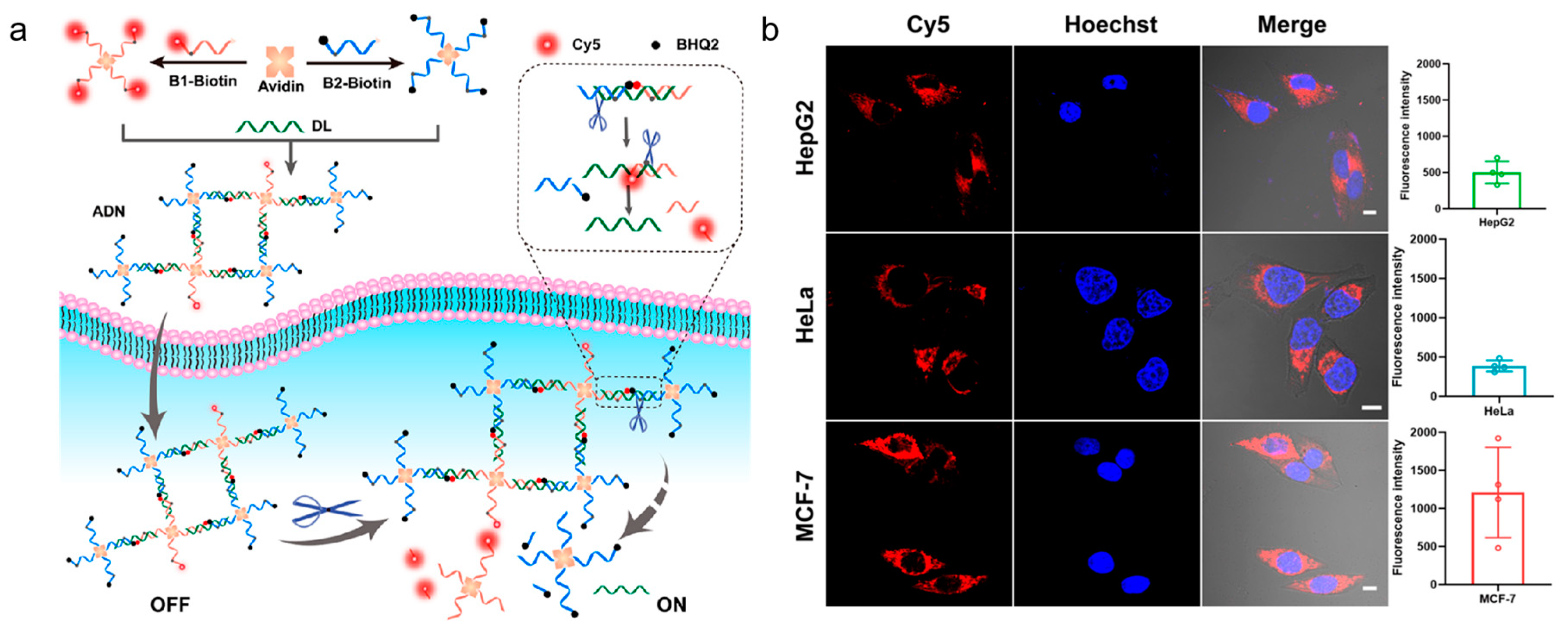 Preprints 78096 g008