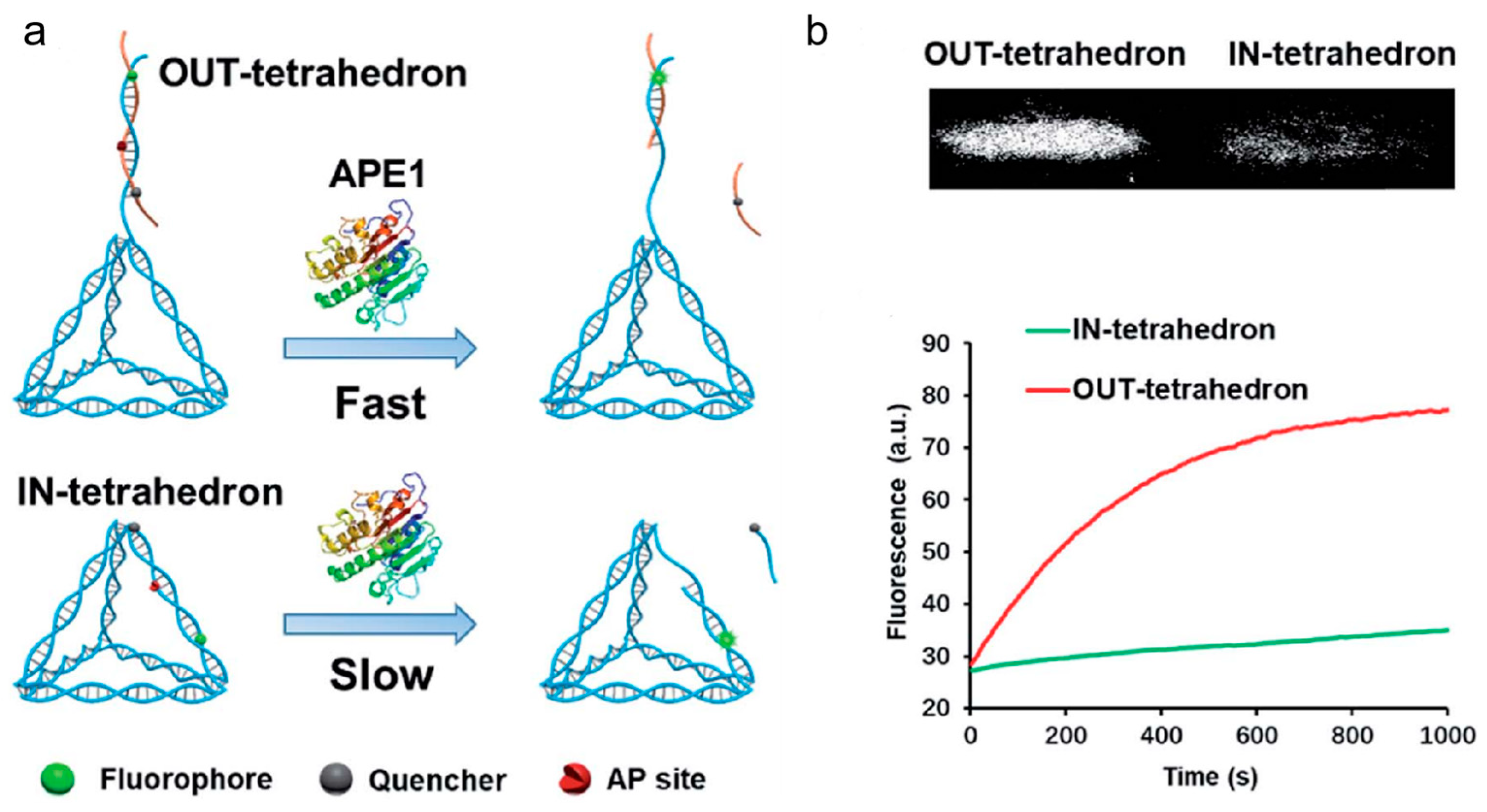 Preprints 78096 g010