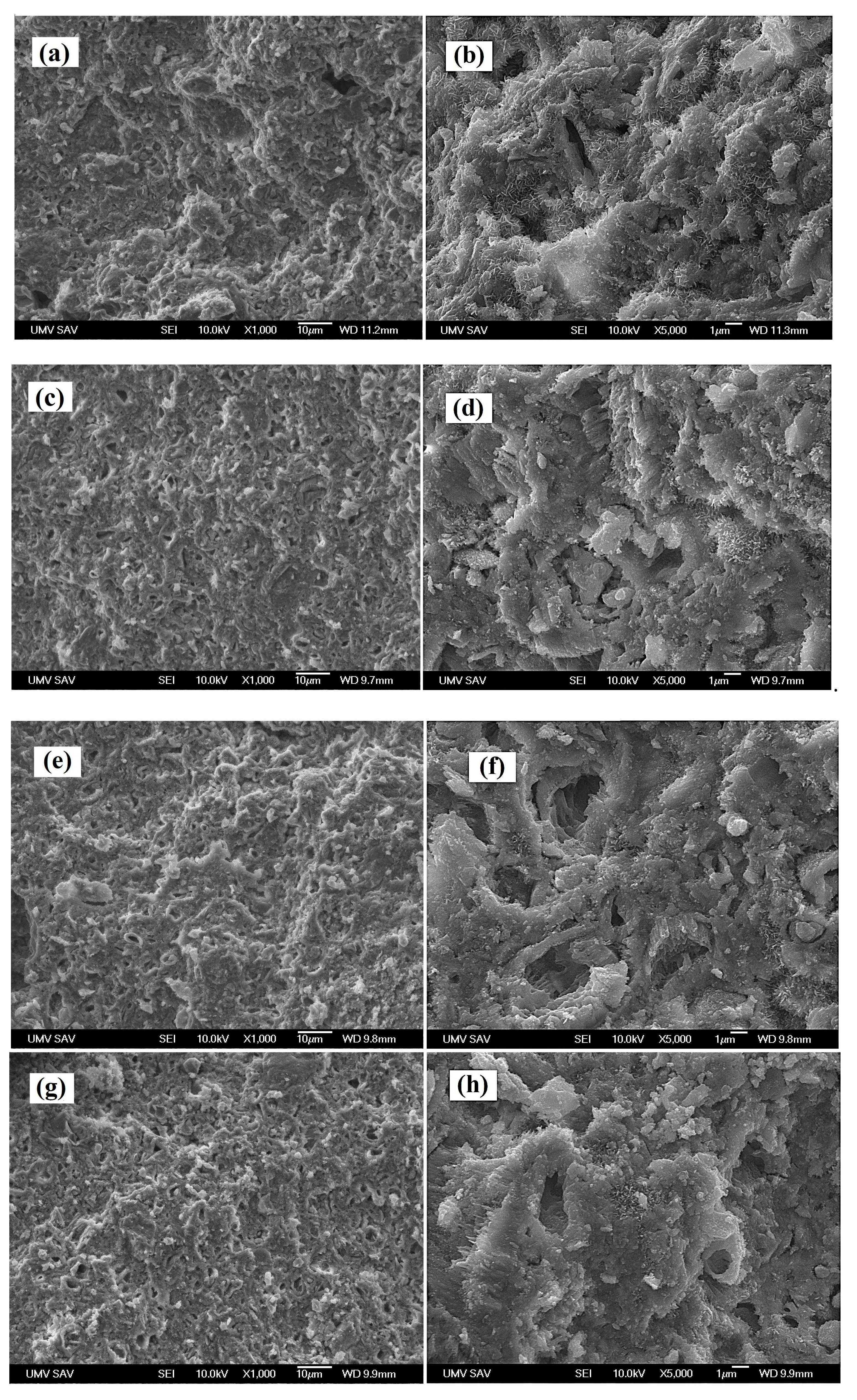 Preprints 80613 g002a