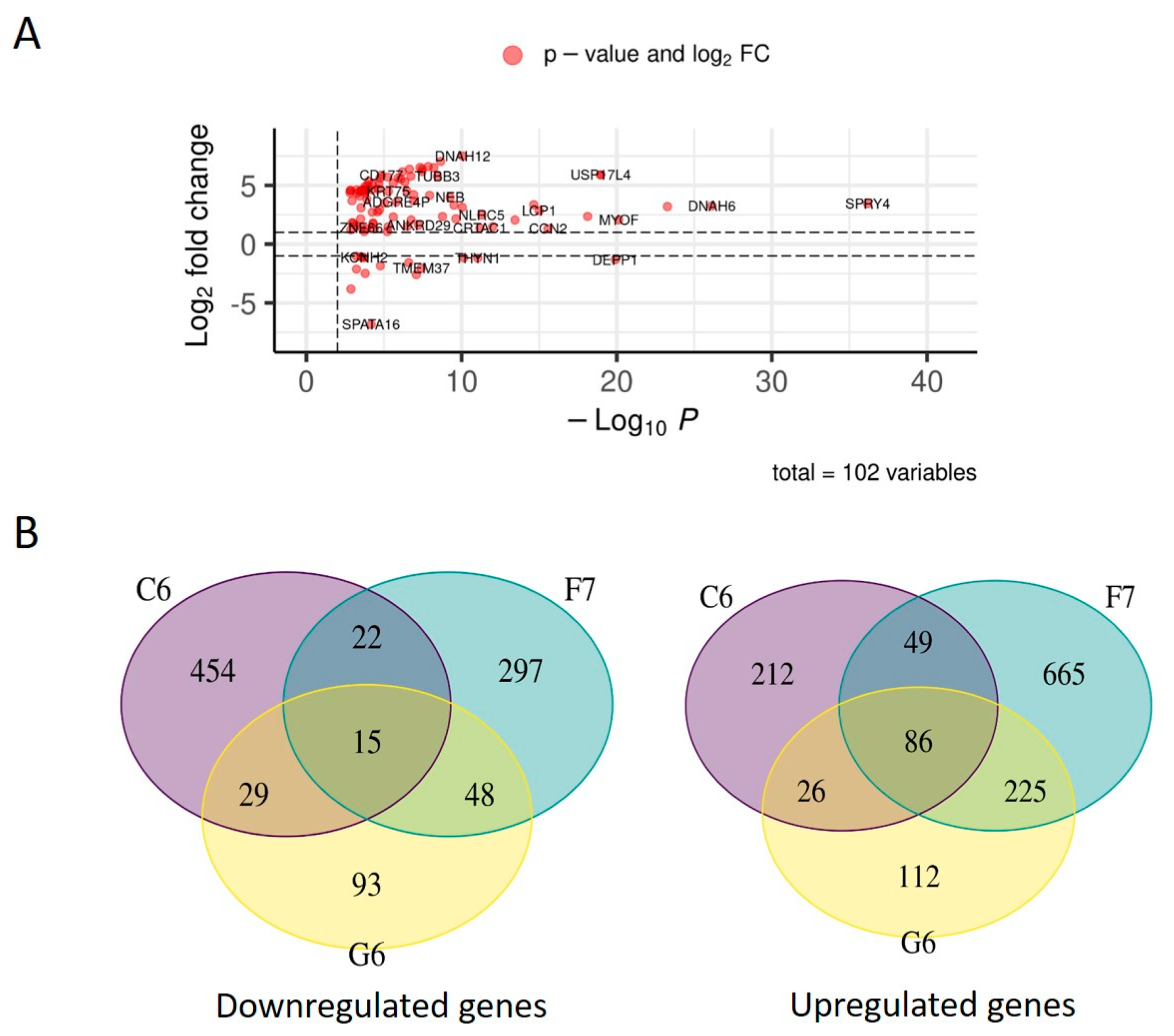 Preprints 91684 g002