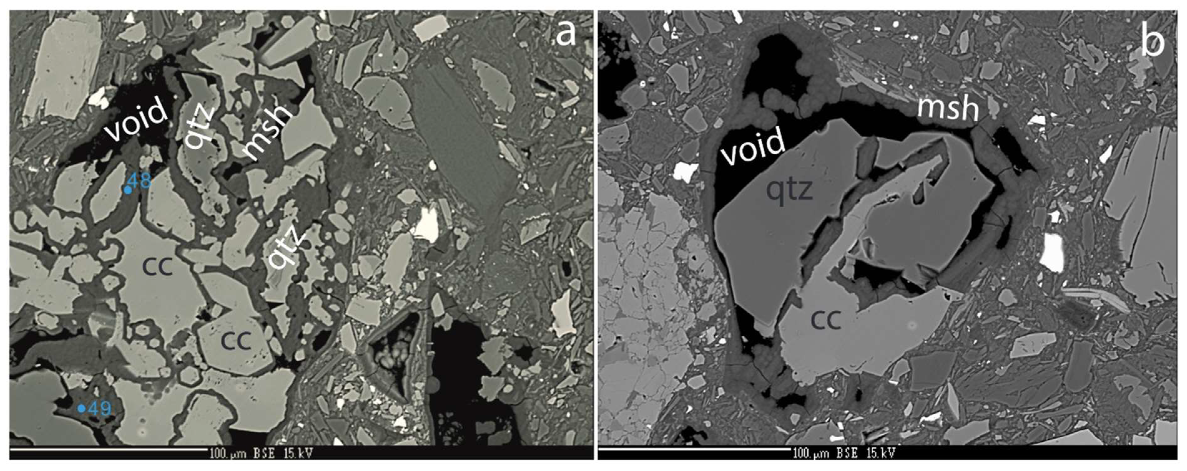 Preprints 94235 g005