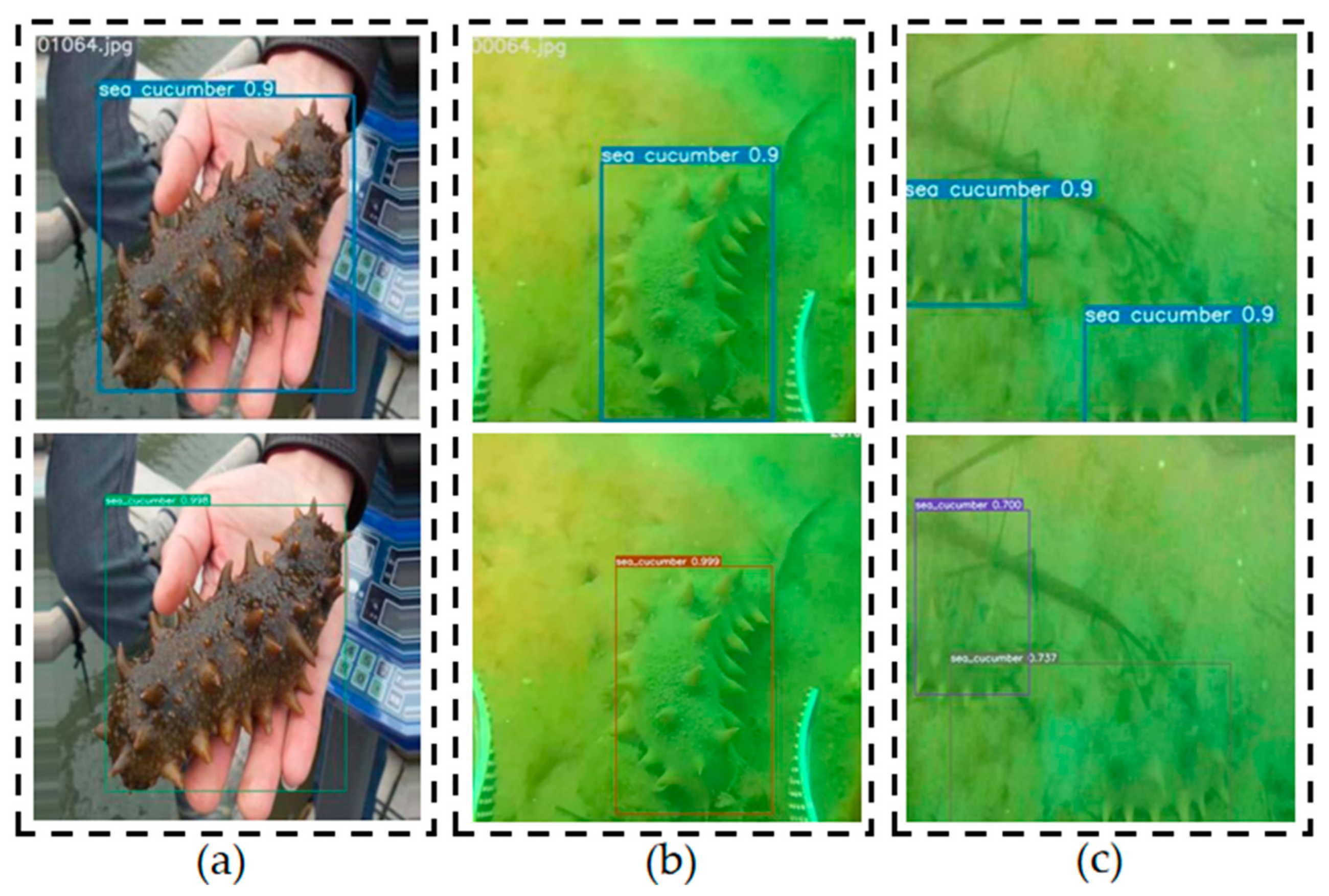 Preprints 86049 g012