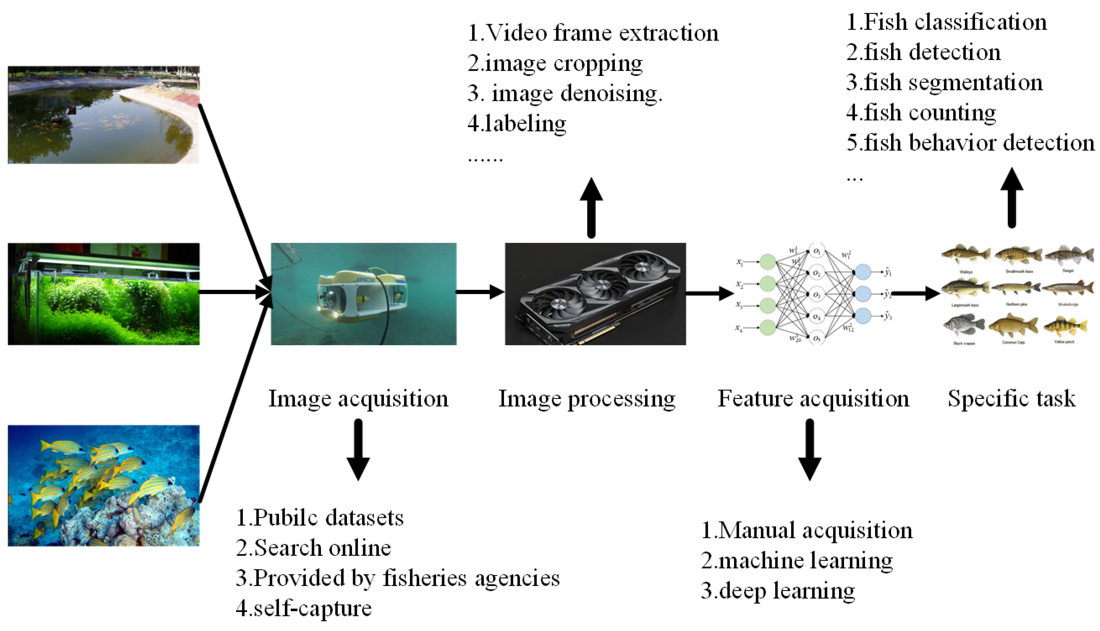 Preprints 114499 g001