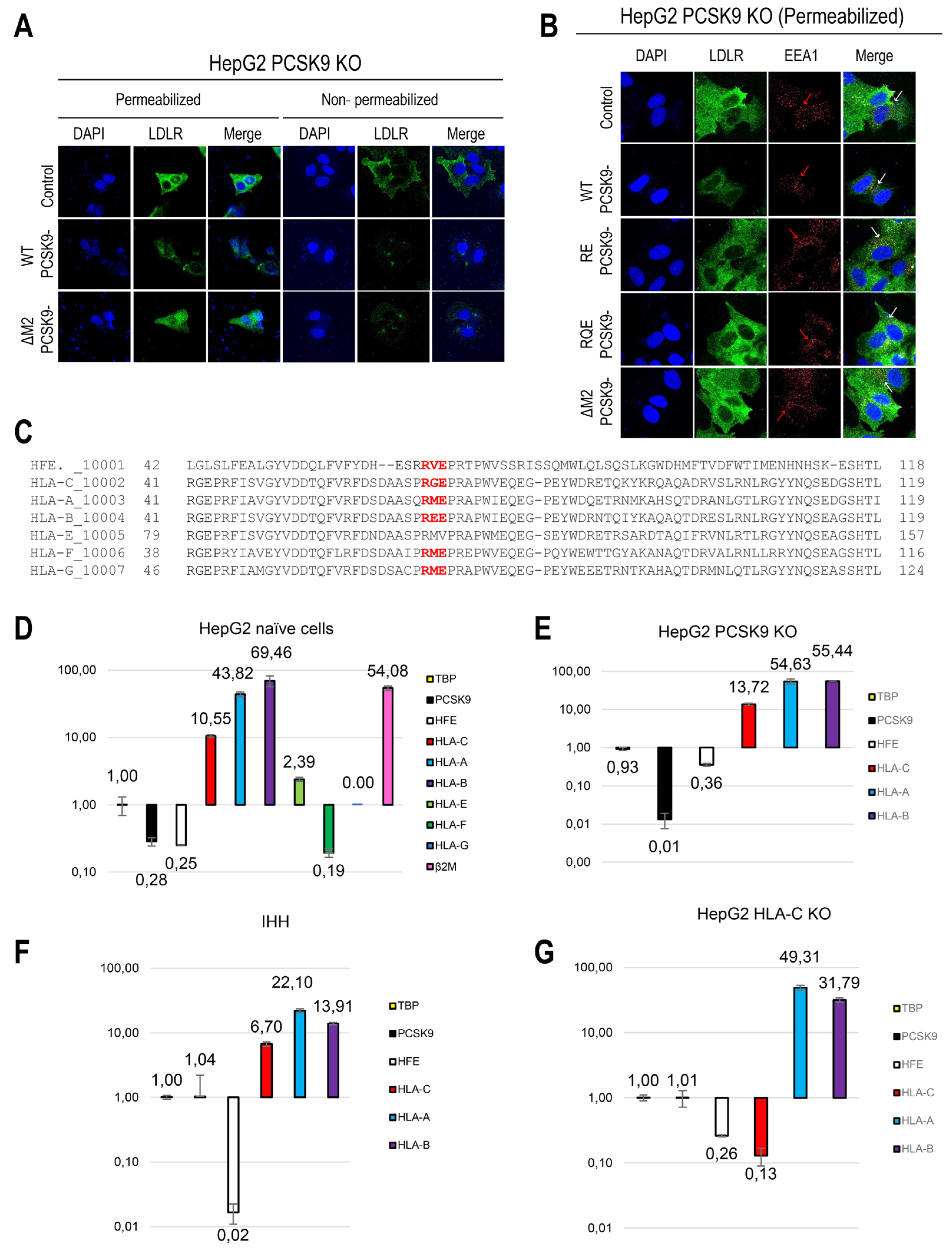 Preprints 101479 g001