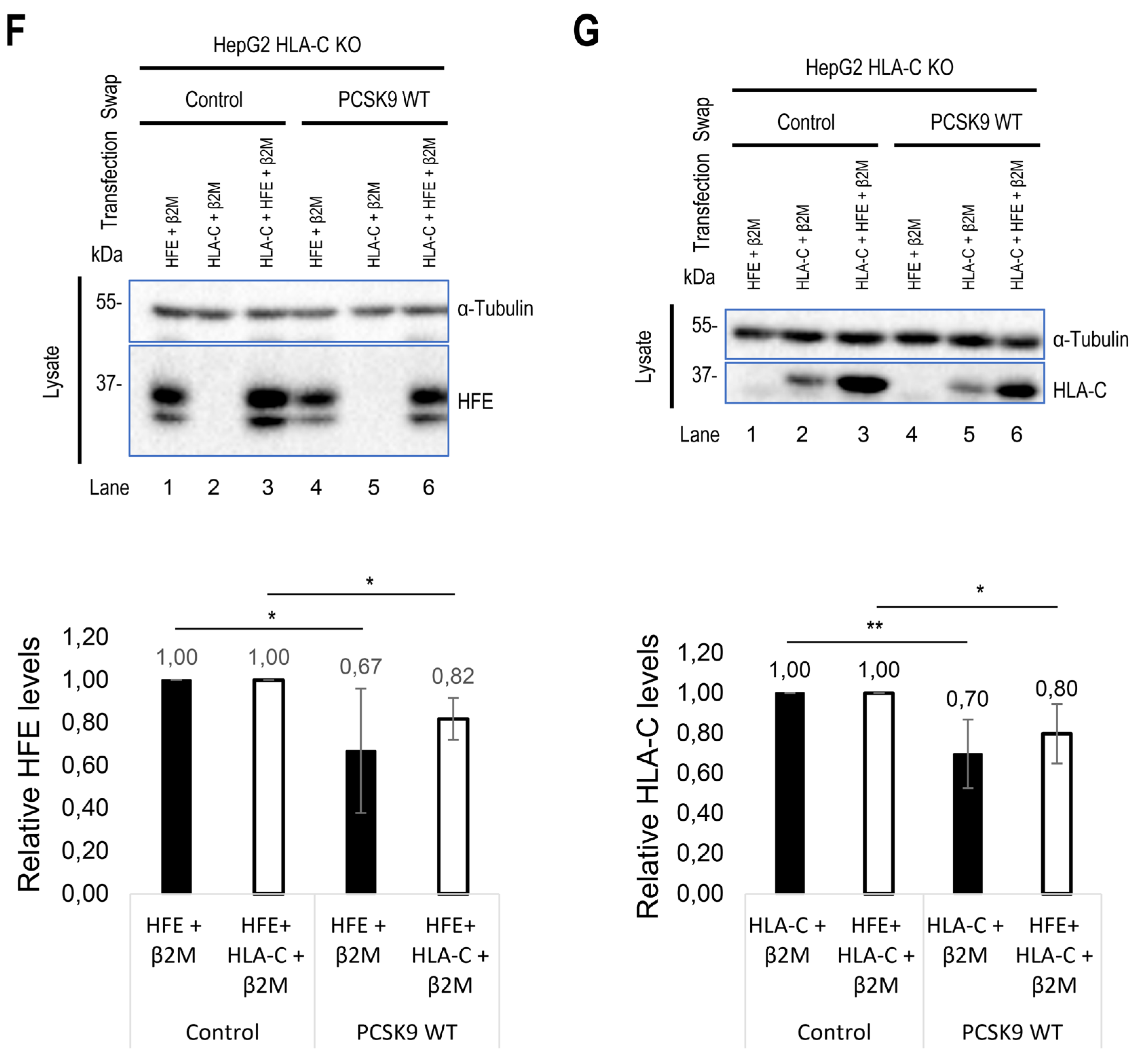 Preprints 101479 g006