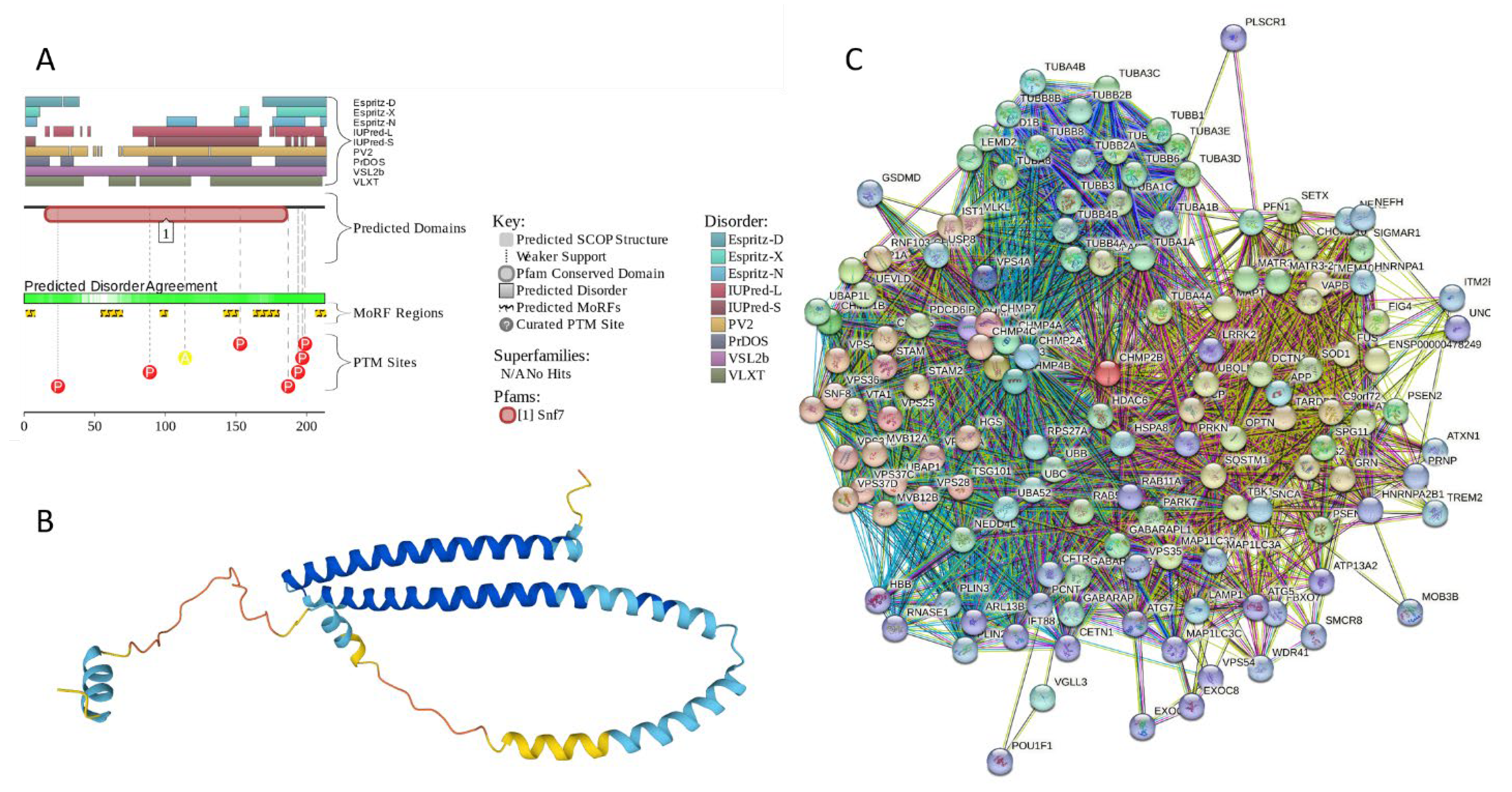 Preprints 104697 g014