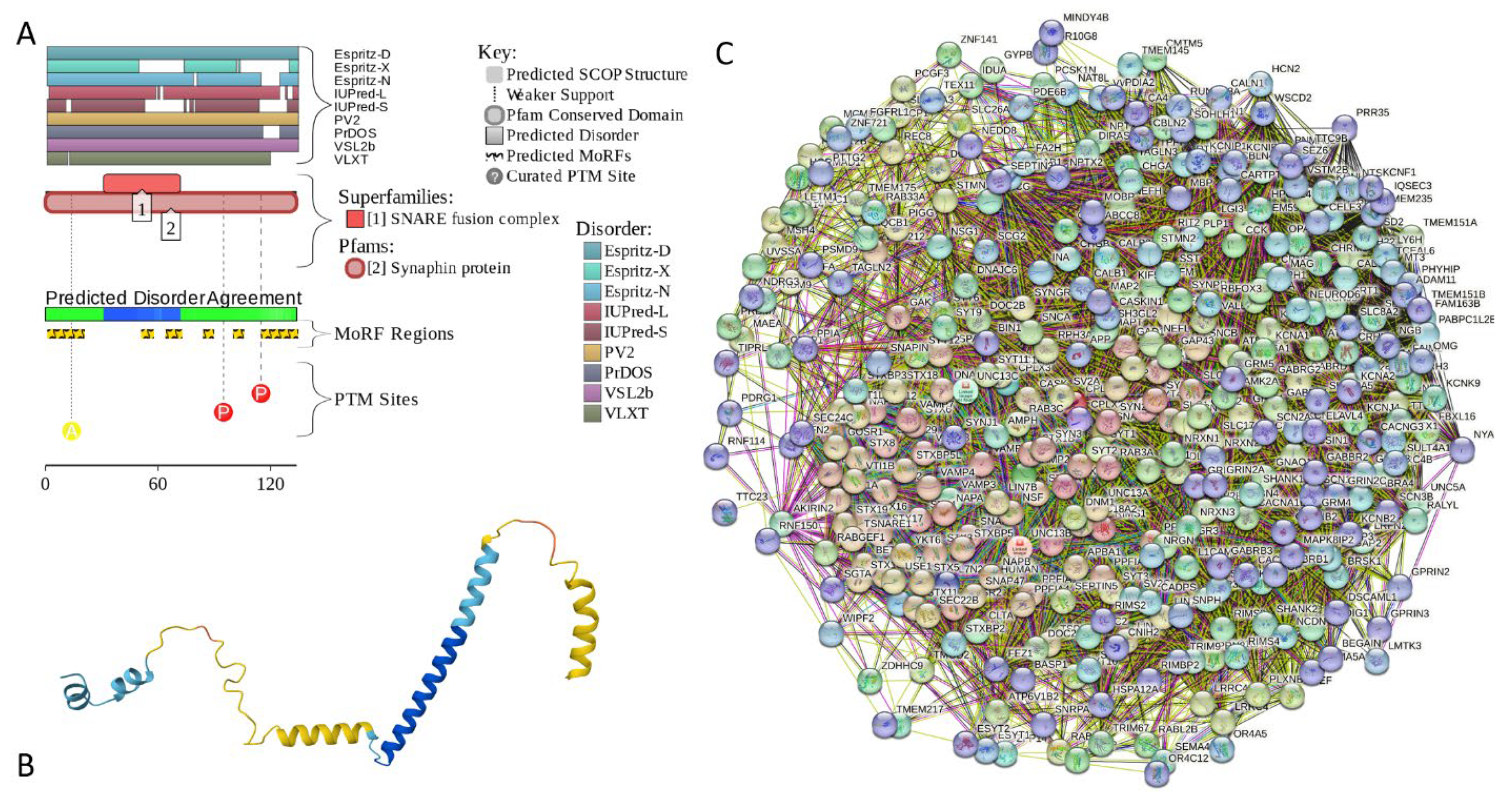 Preprints 104697 g016