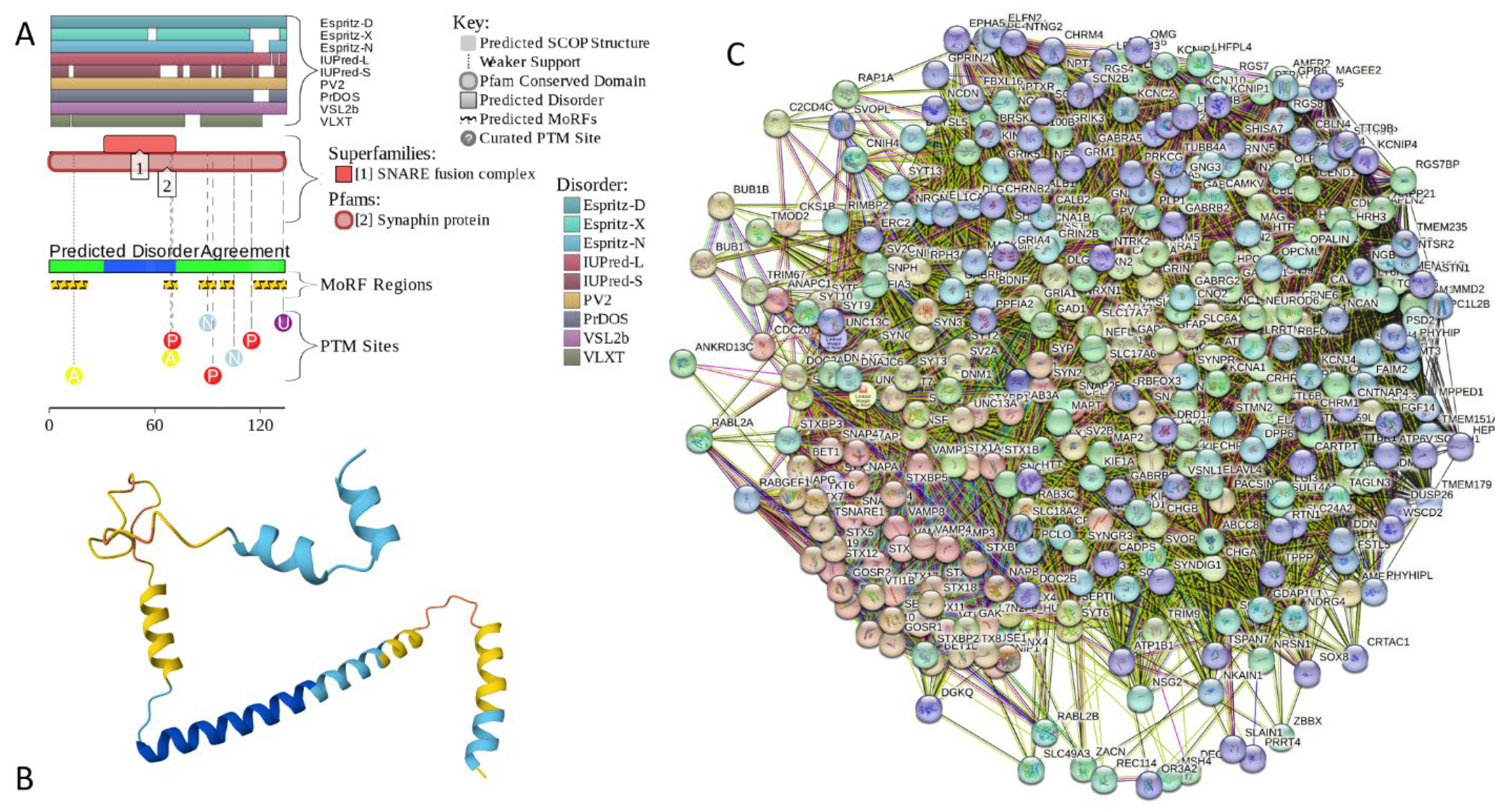 Preprints 104697 g017