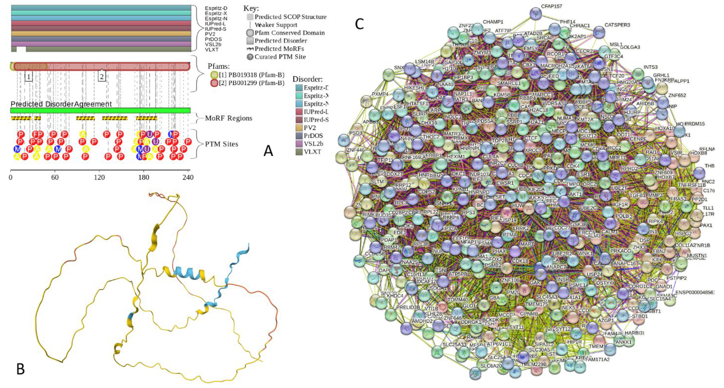 Preprints 104697 g018