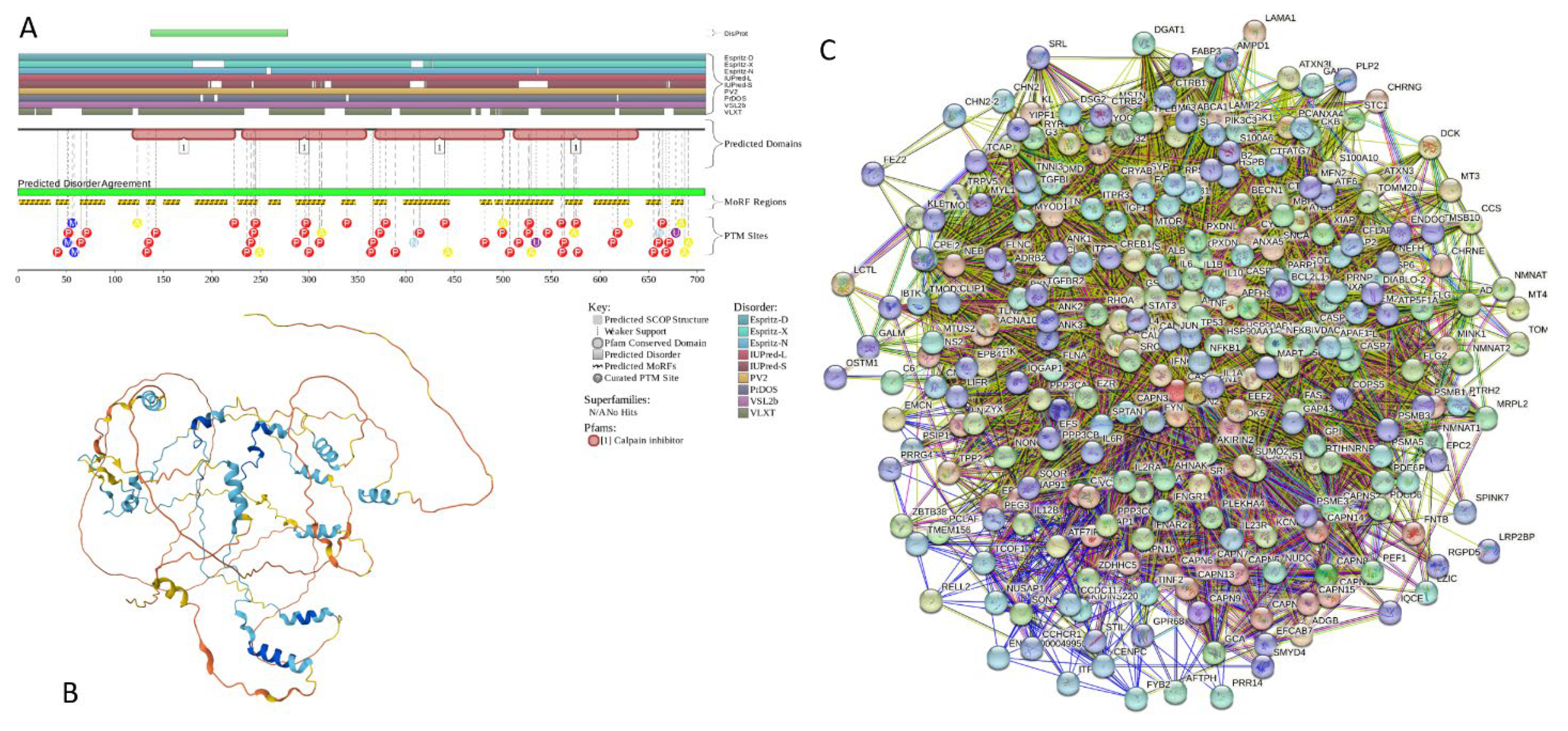 Preprints 104697 g020