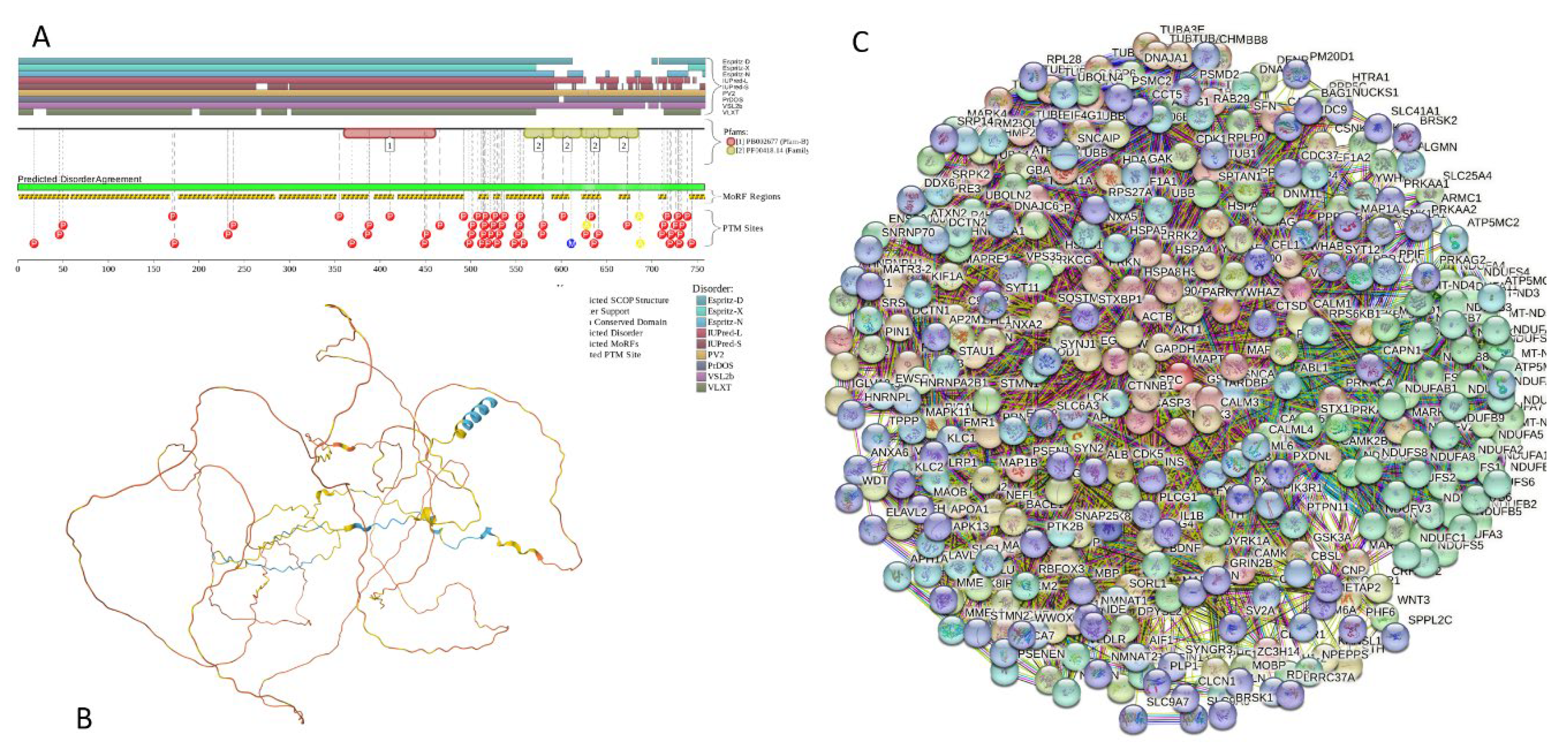 Preprints 104697 g021