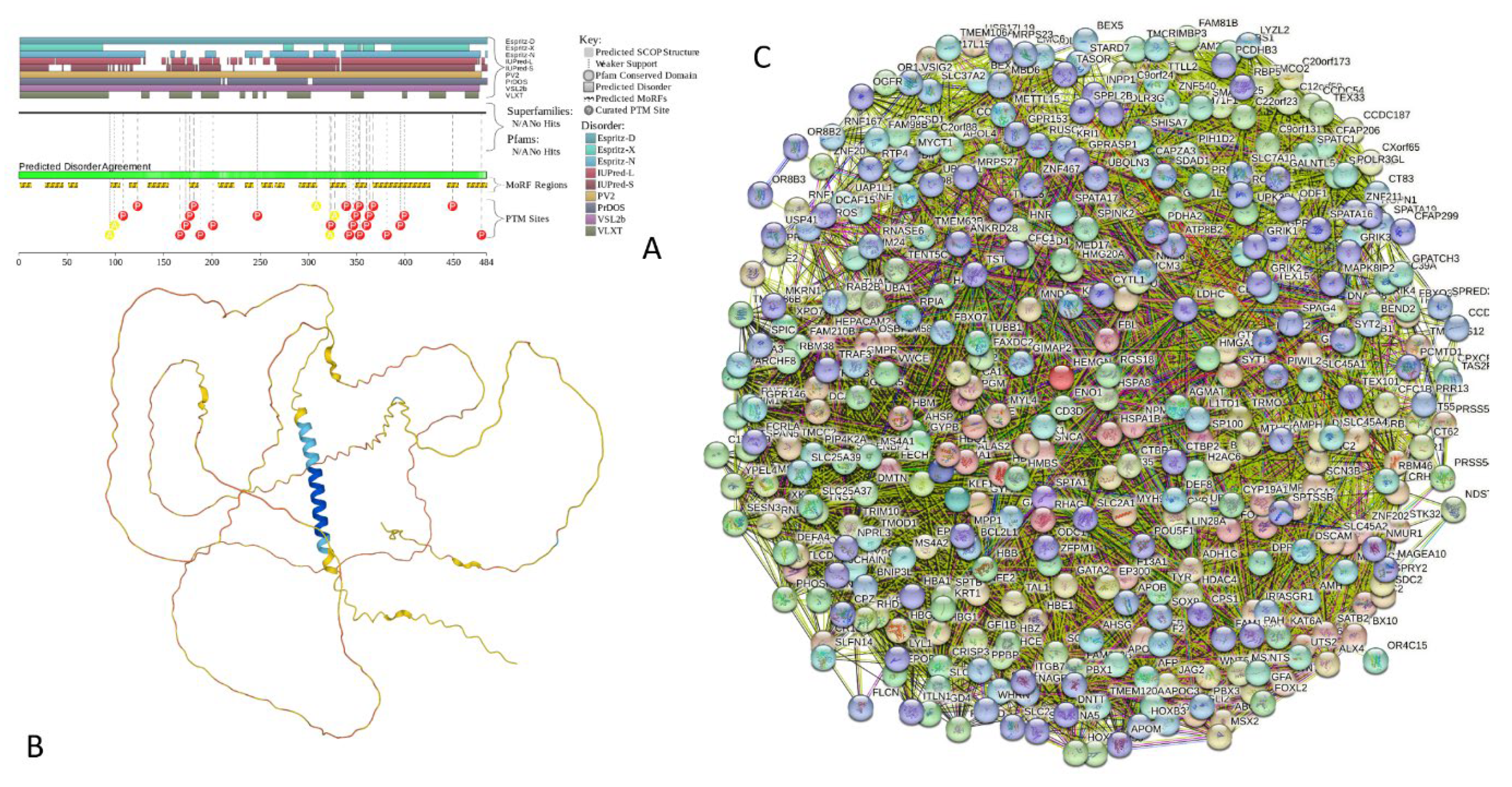 Preprints 104697 g022