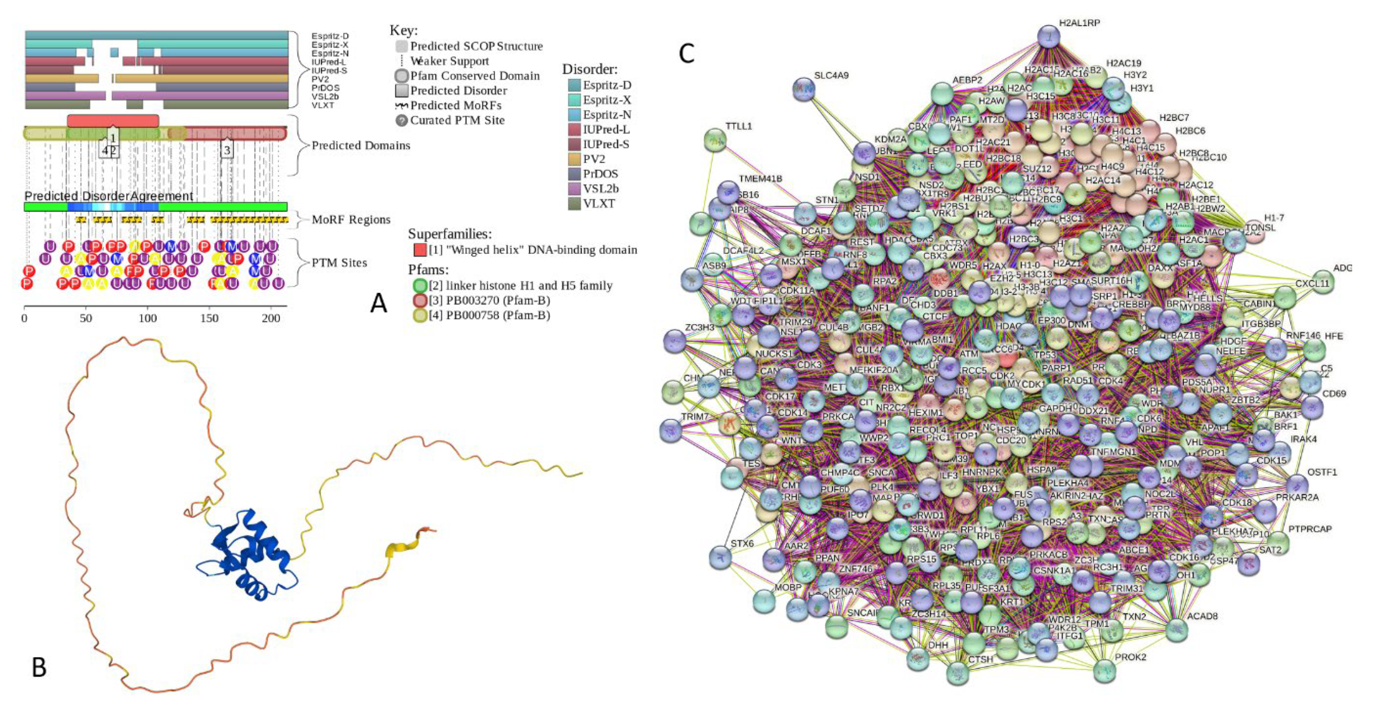 Preprints 104697 g023