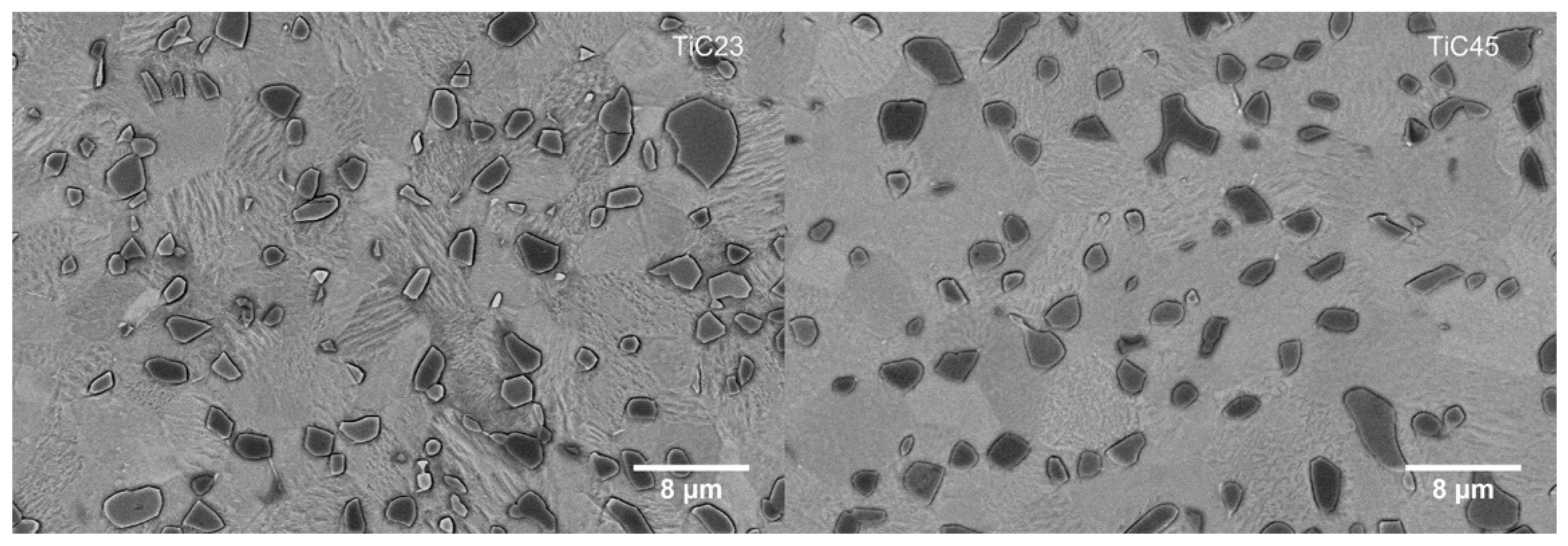 Preprints 120999 g006