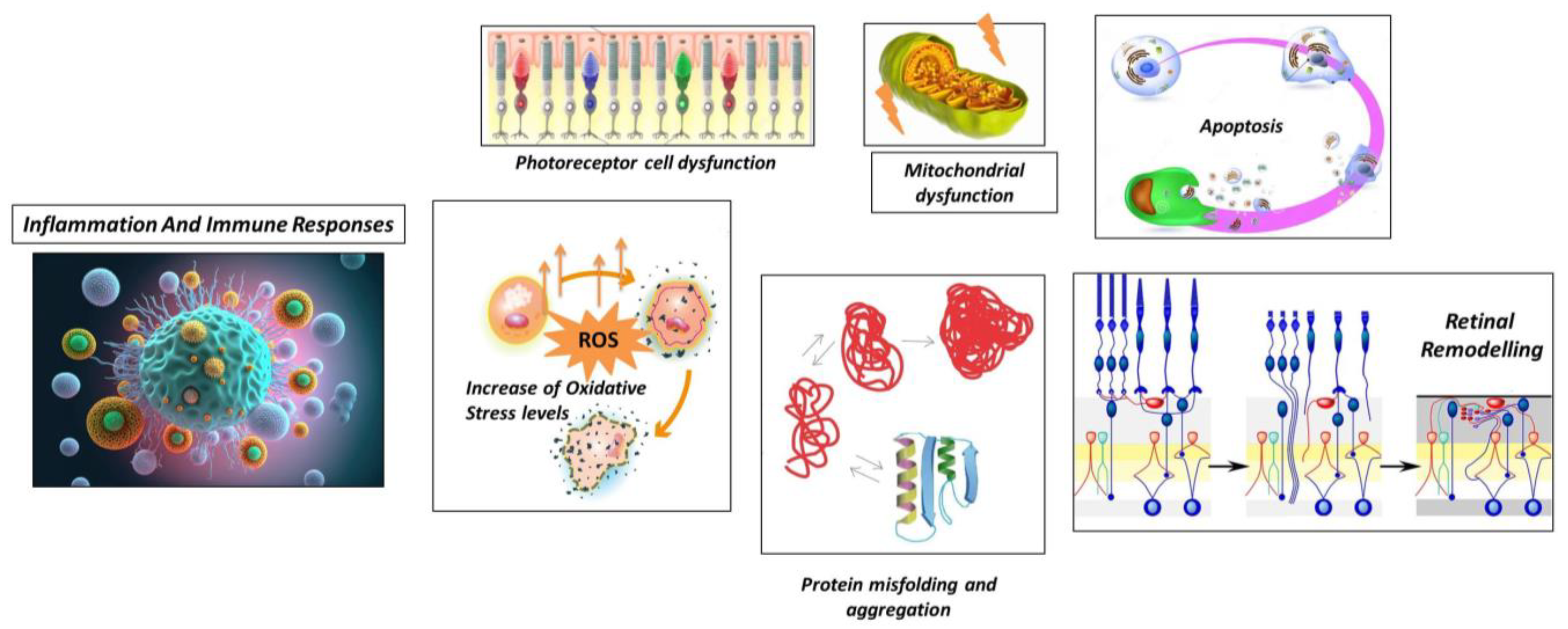 Preprints 83992 g001