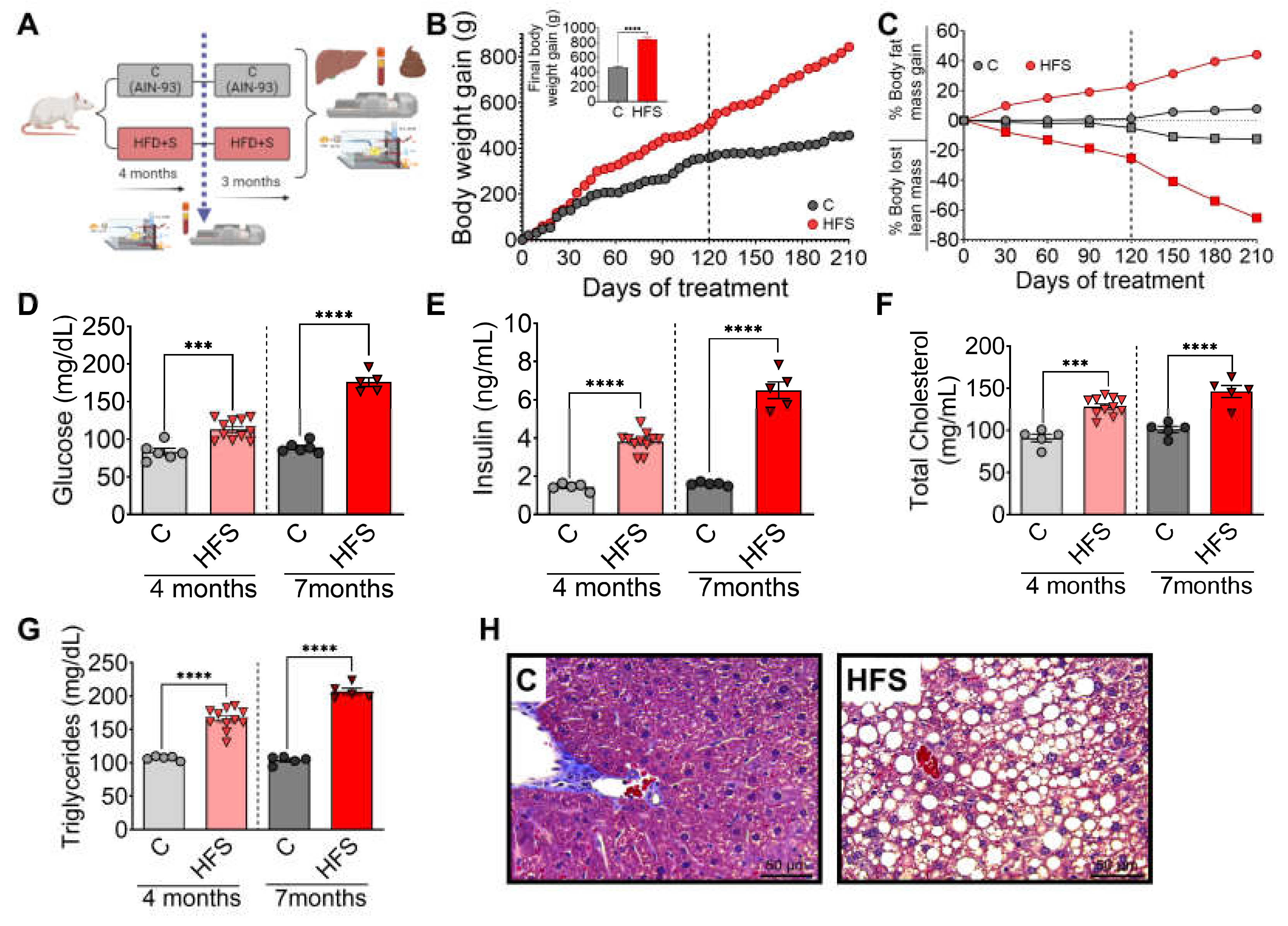 Preprints 111581 g001