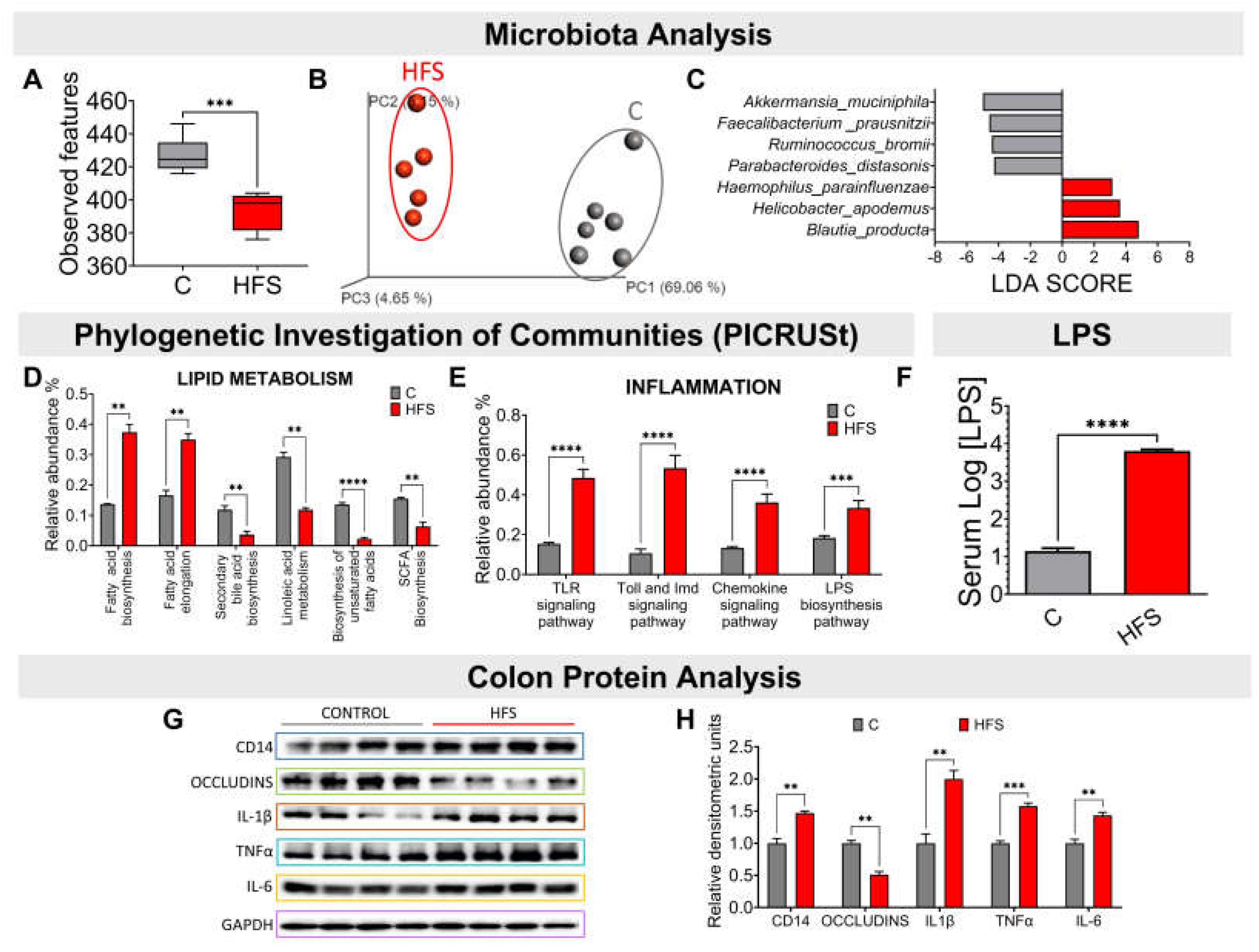 Preprints 111581 g002