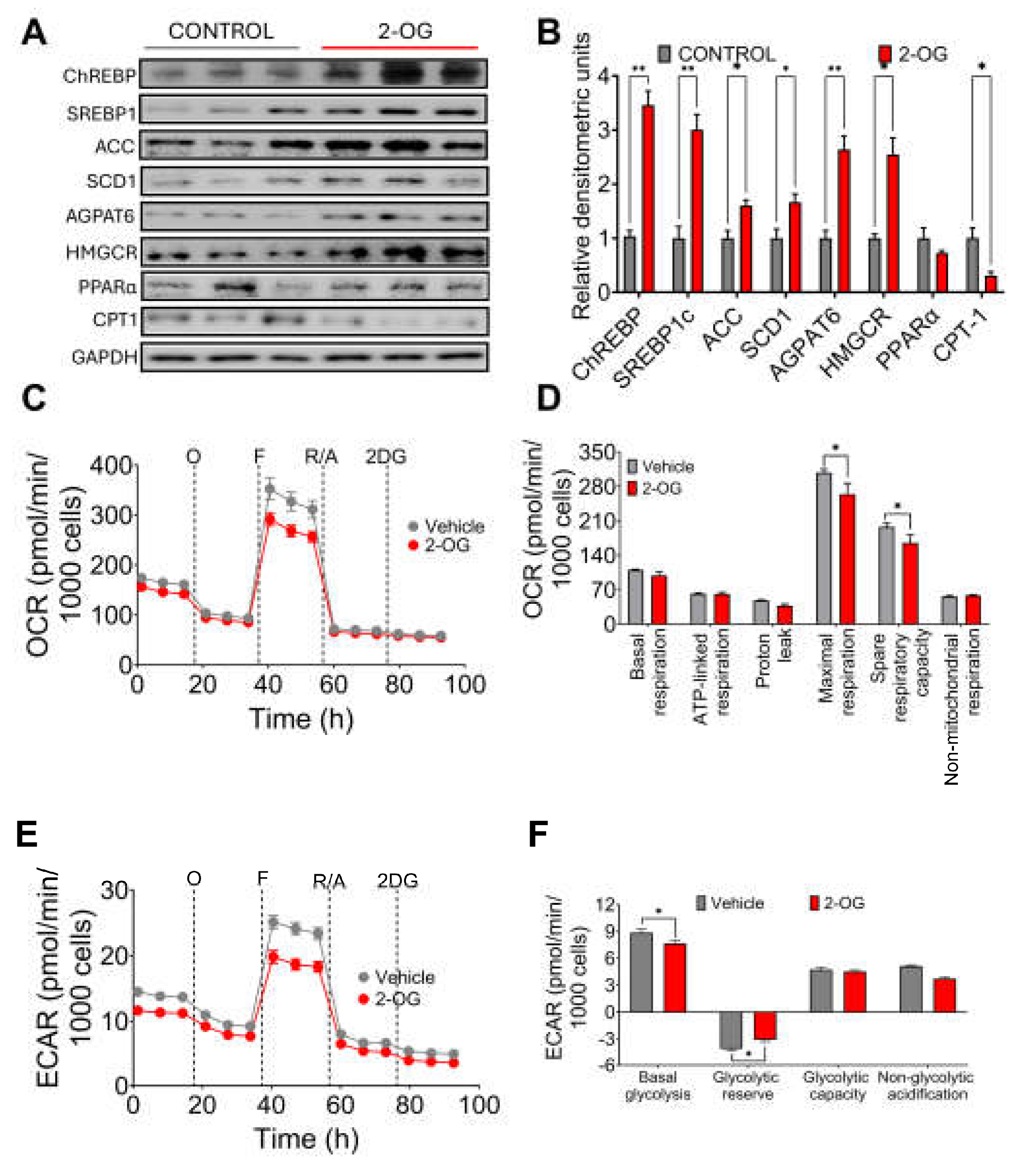 Preprints 111581 g003