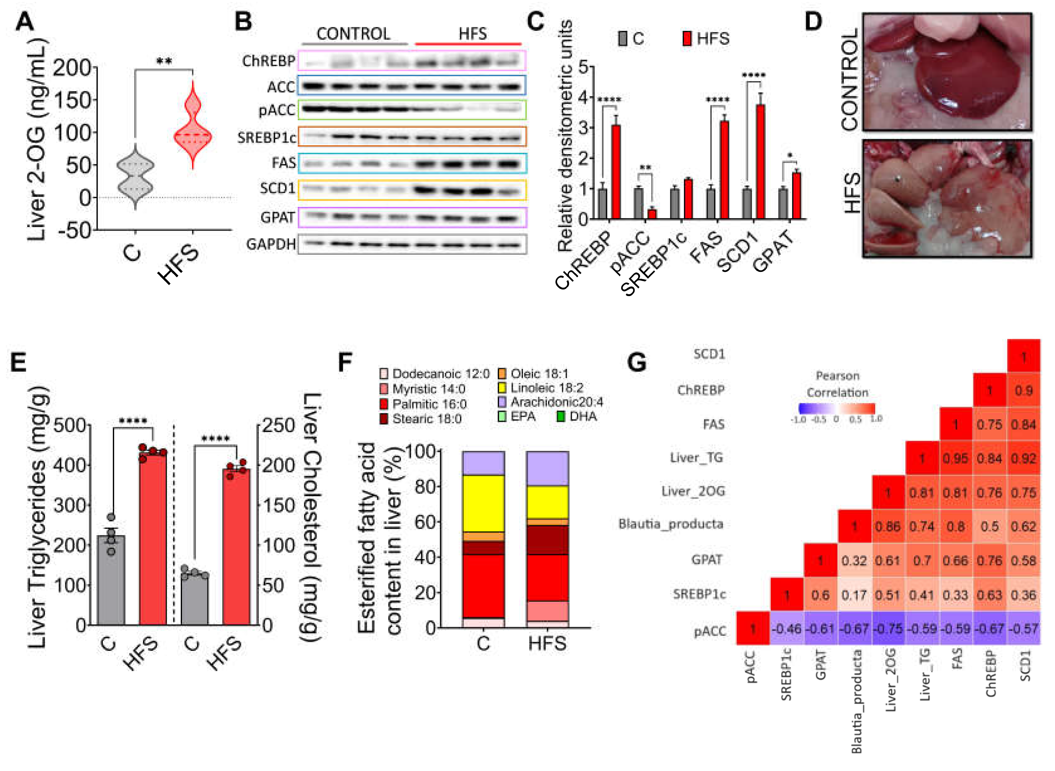 Preprints 111581 g004