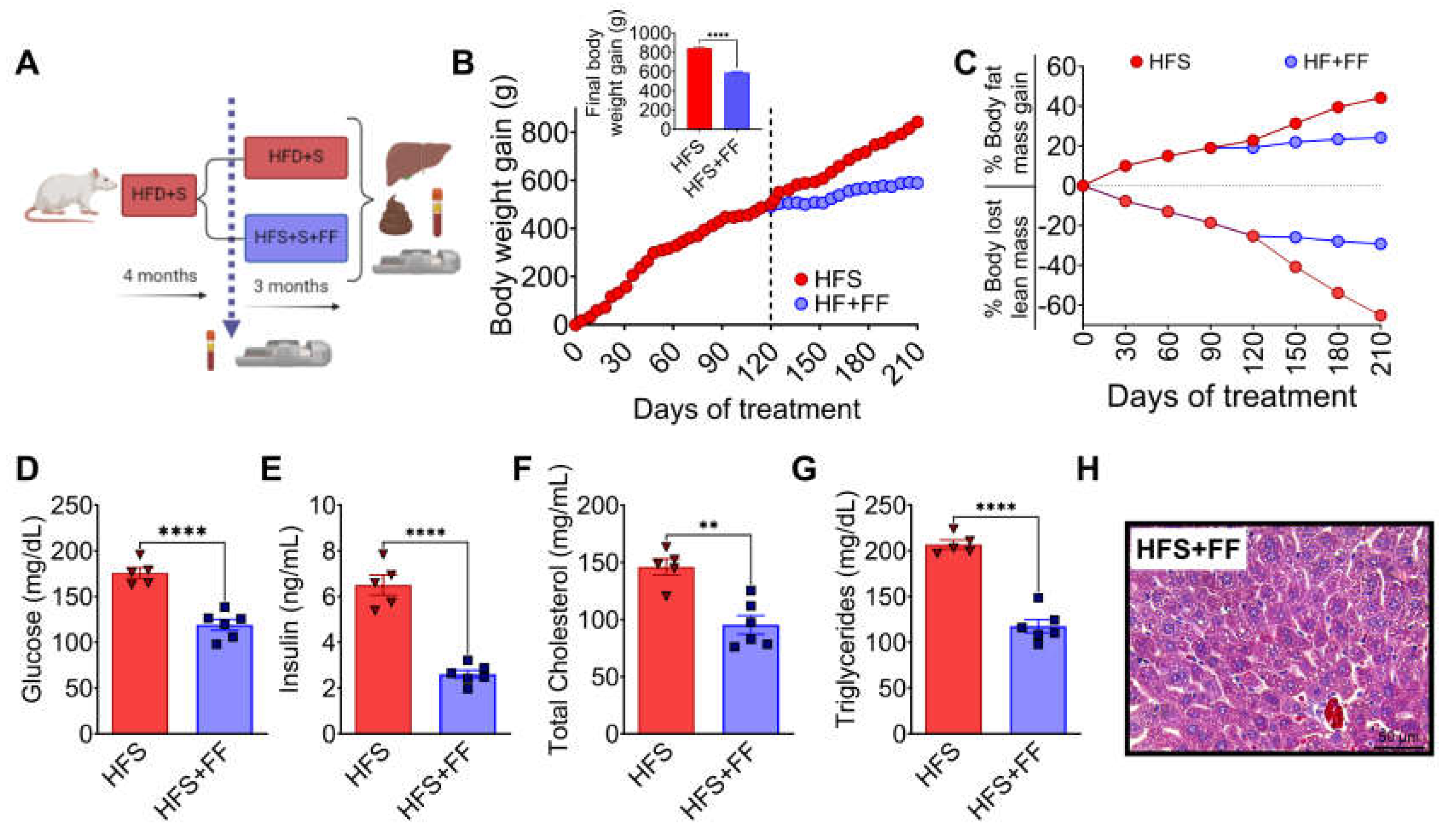 Preprints 111581 g005