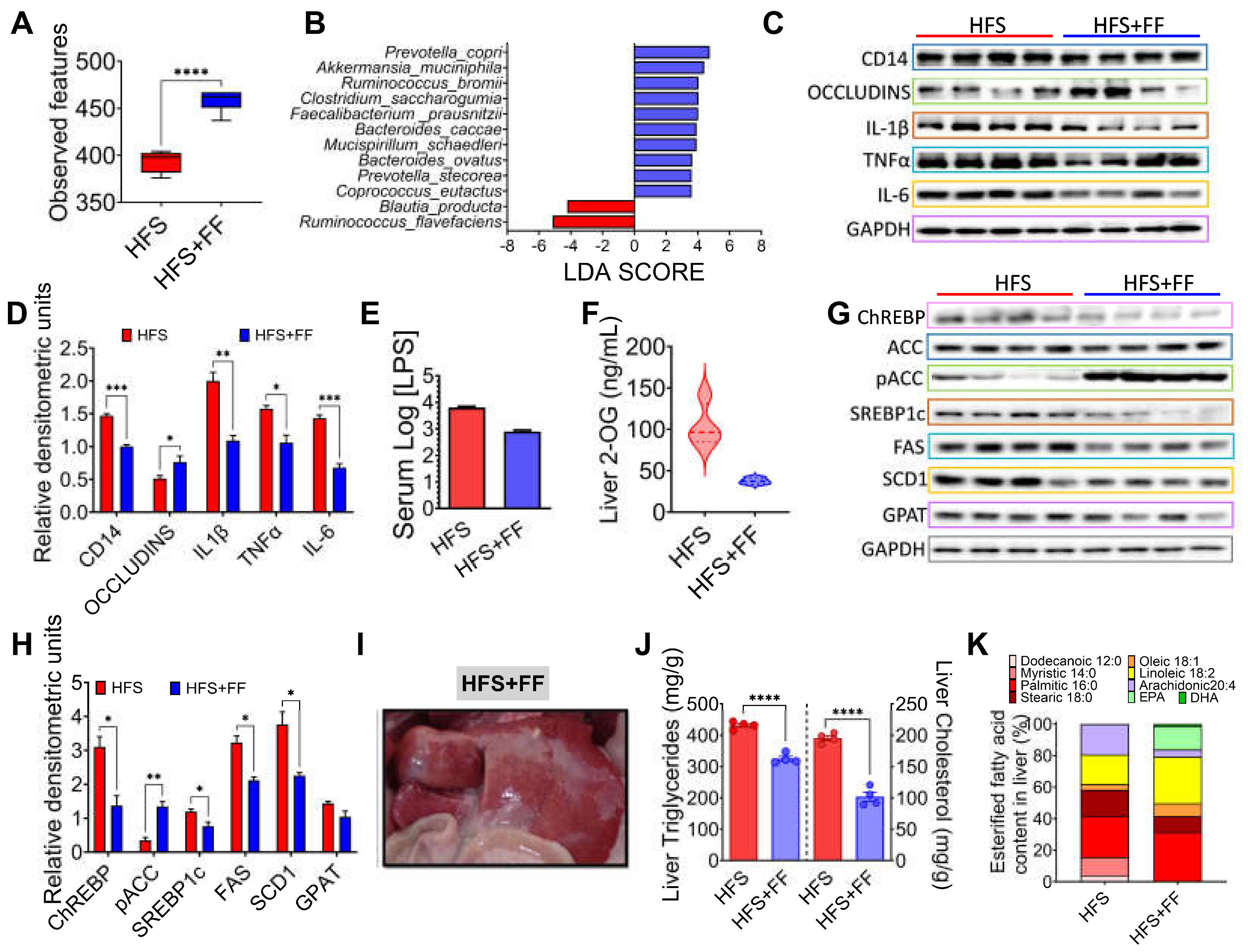 Preprints 111581 g006