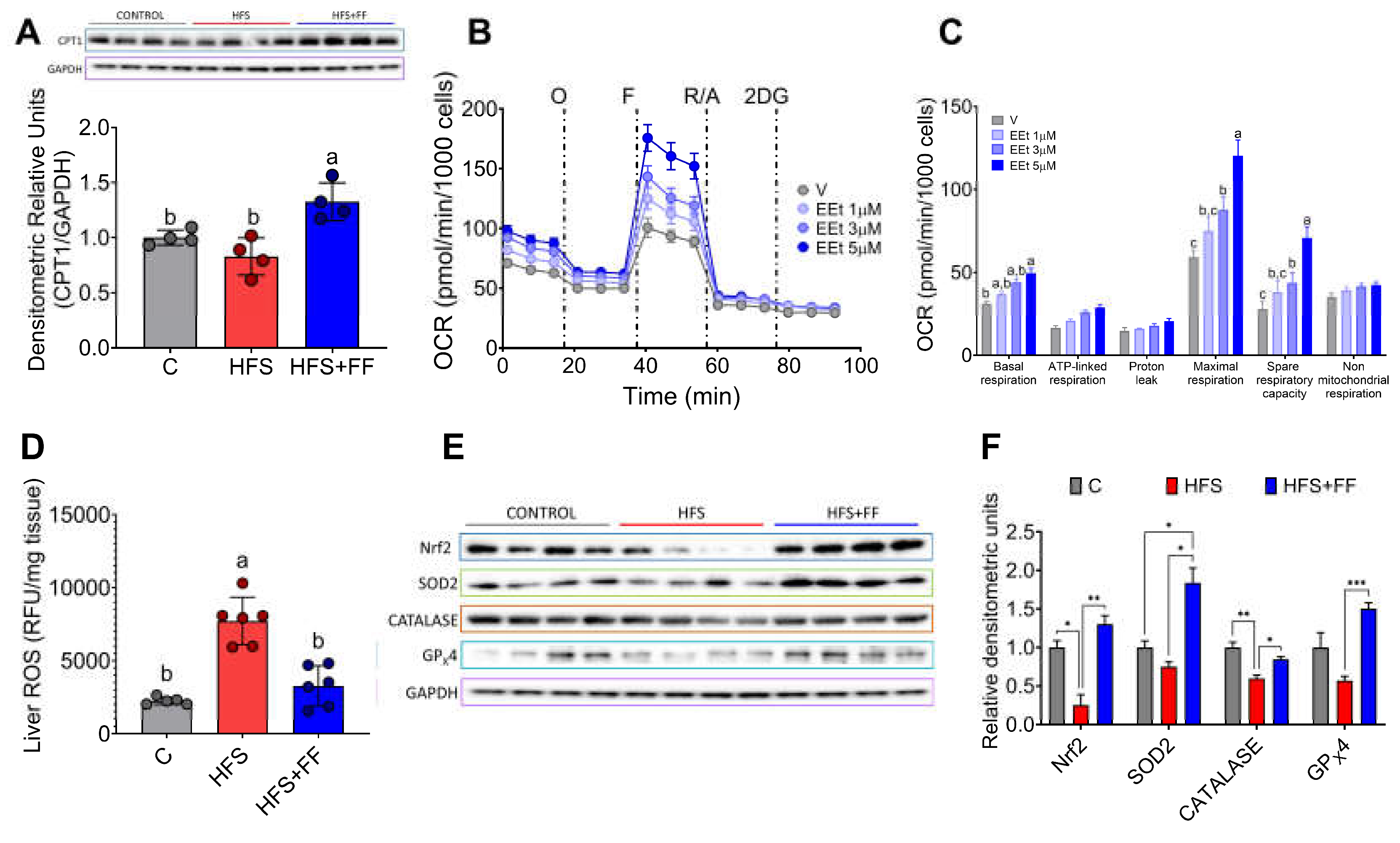 Preprints 111581 g007