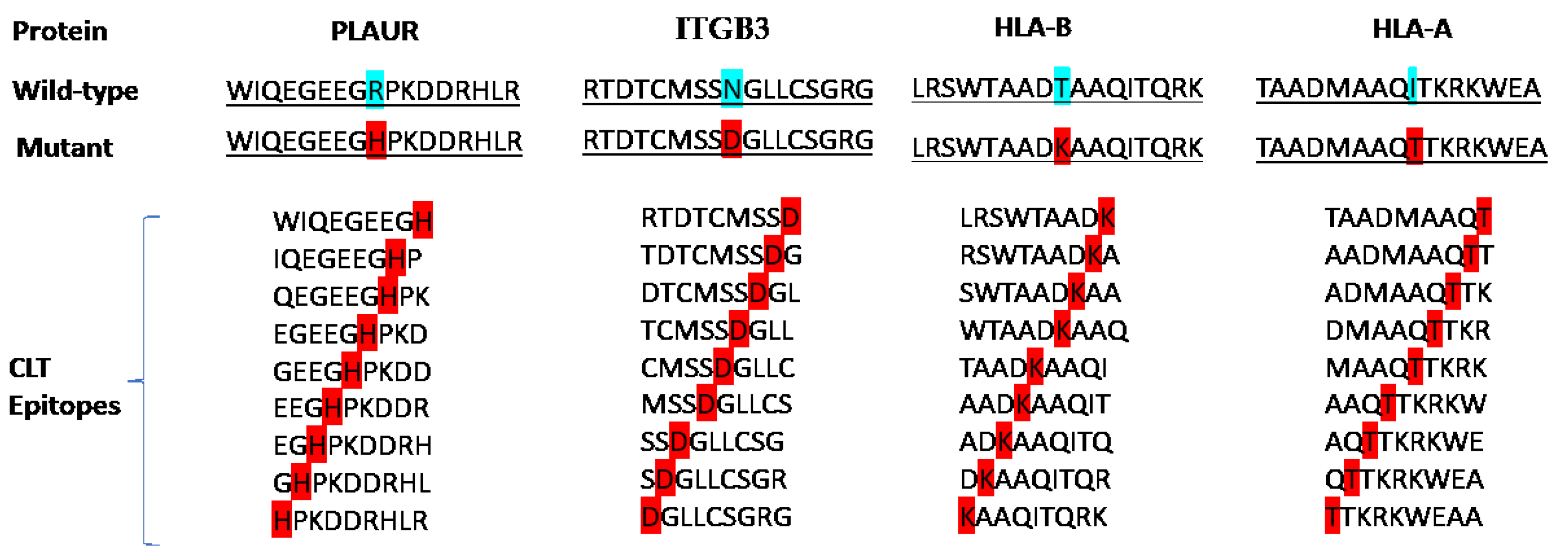 Preprints 116478 g001