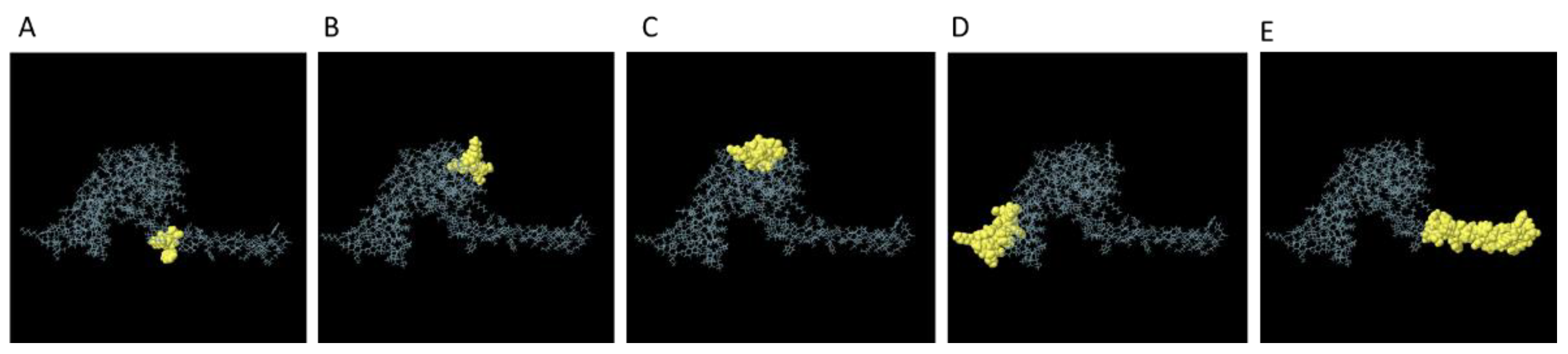 Preprints 116478 g004