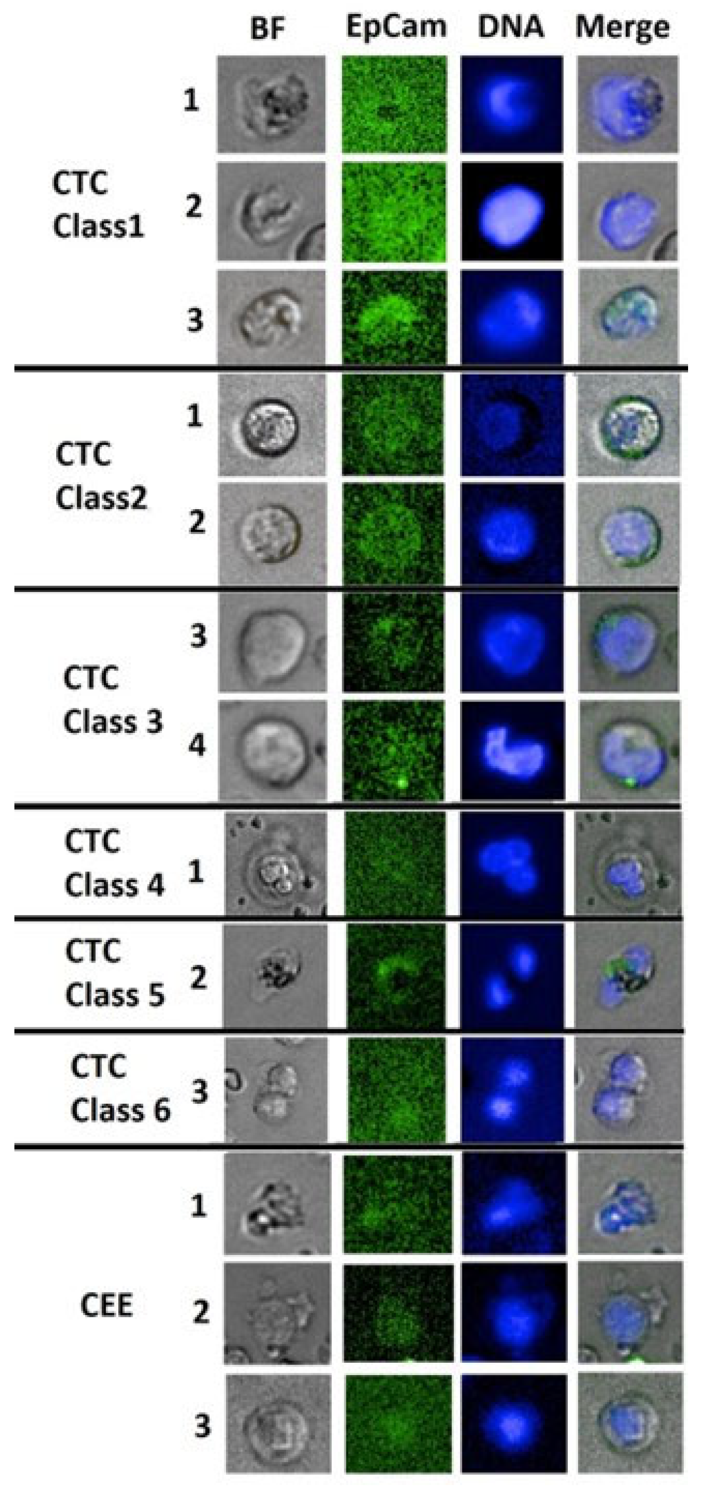 Preprints 98745 g001