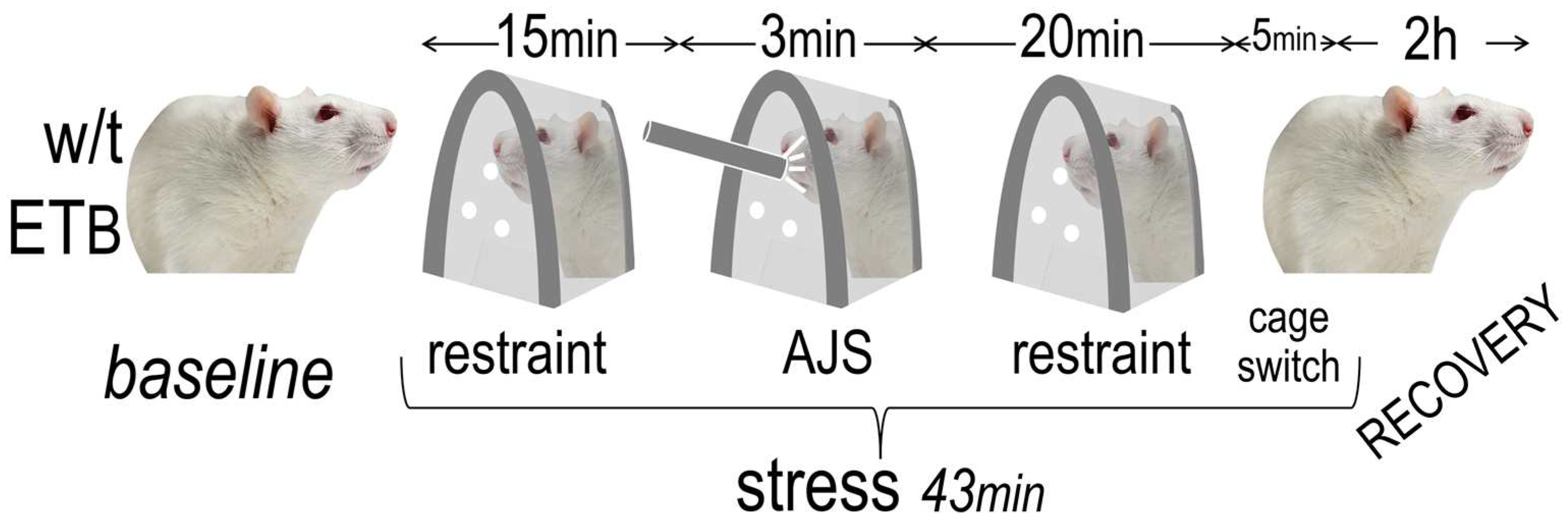 Preprints 85475 g001