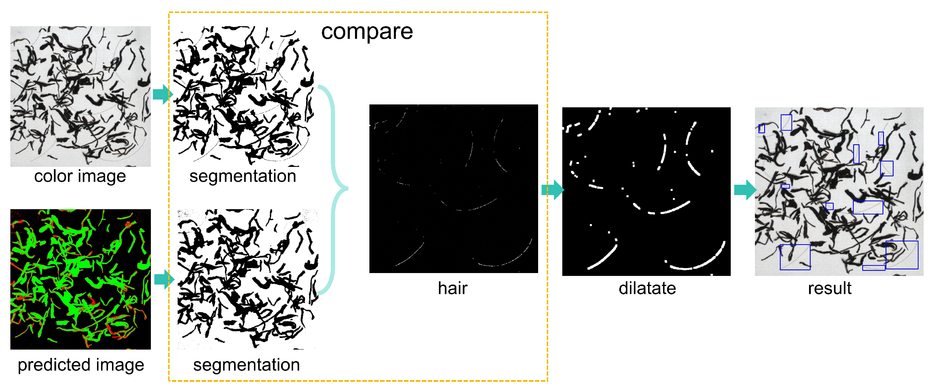 Preprints 103184 g007