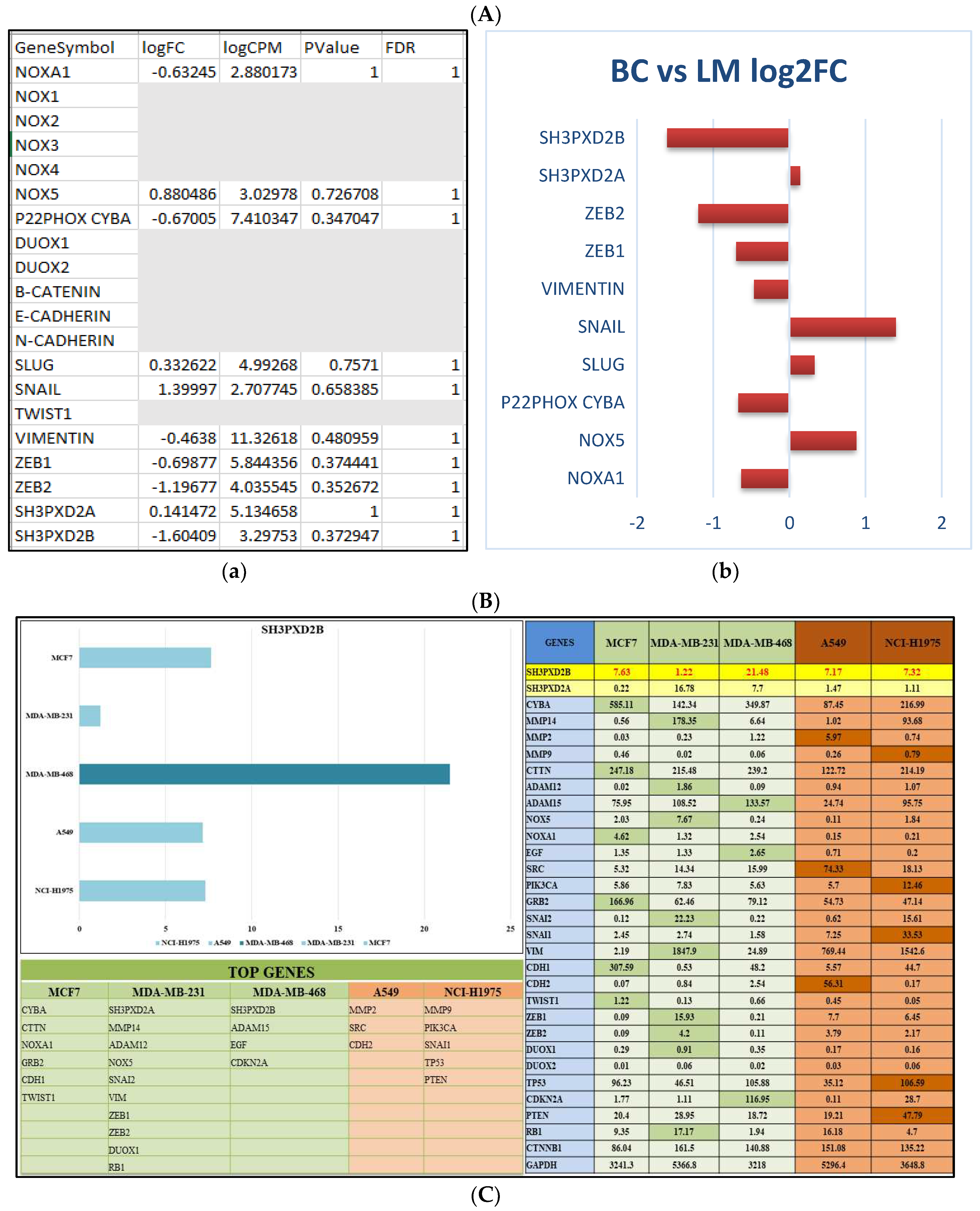 Preprints 84791 g002a