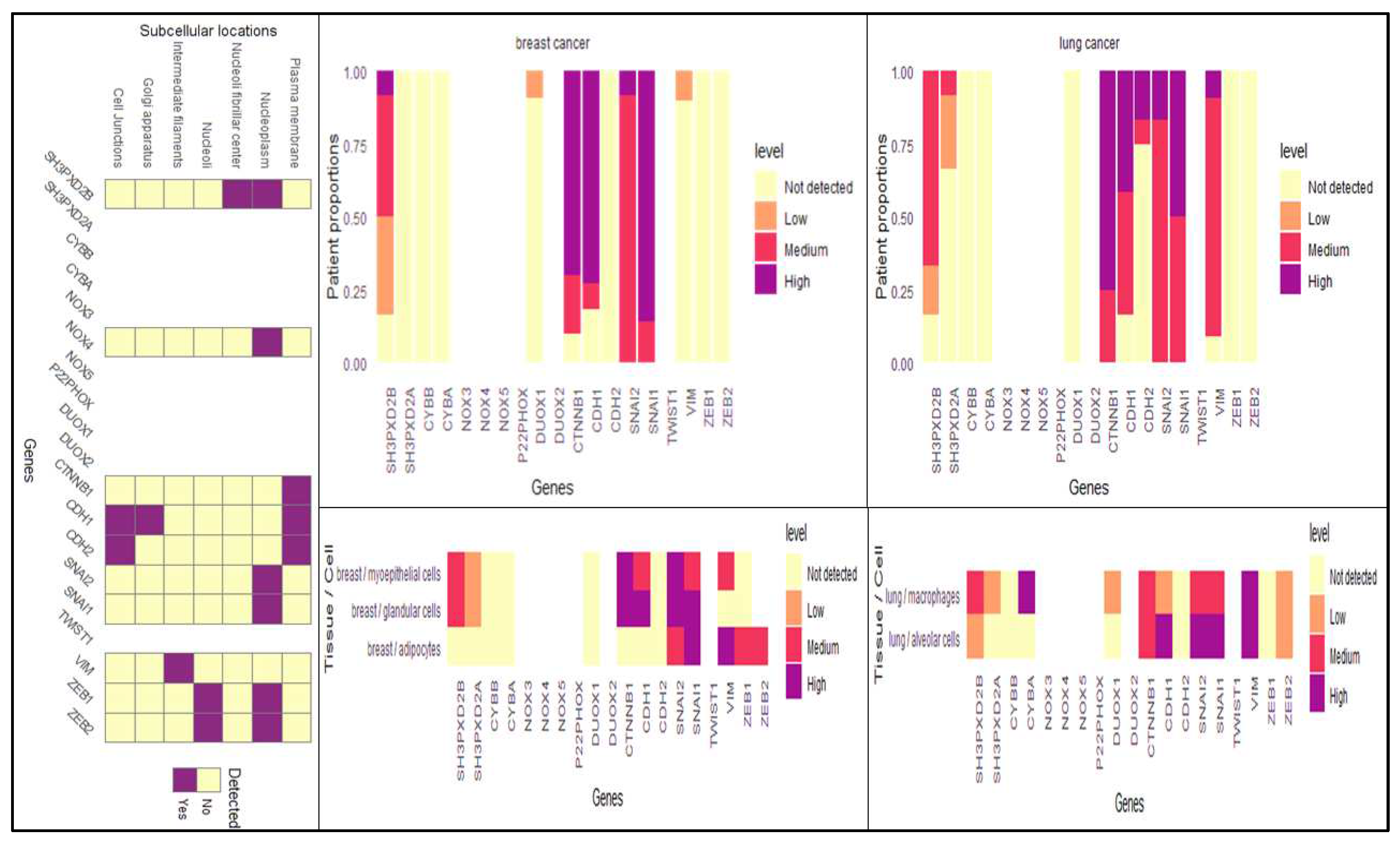 Preprints 84791 g002b