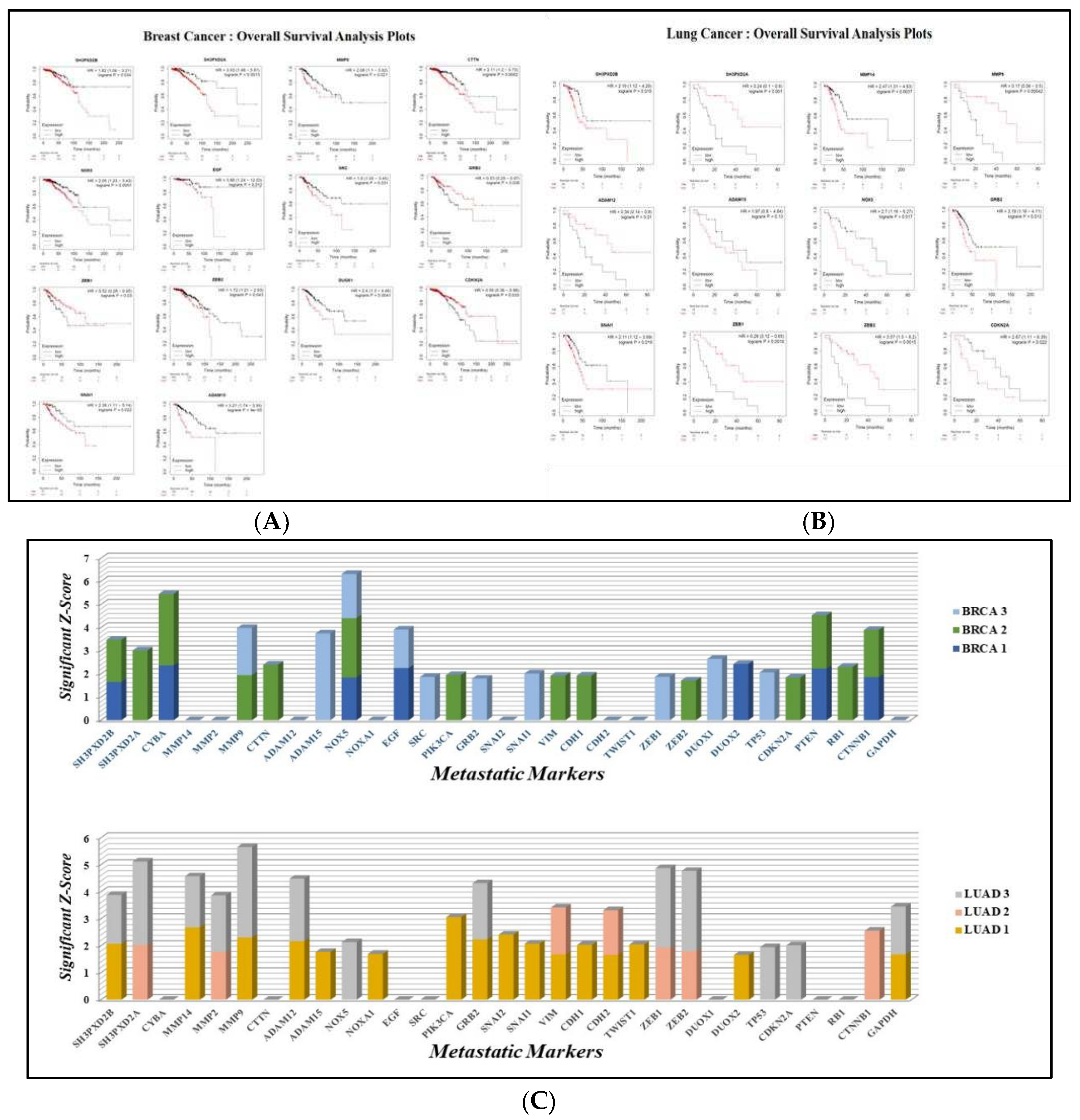 Preprints 84791 g003