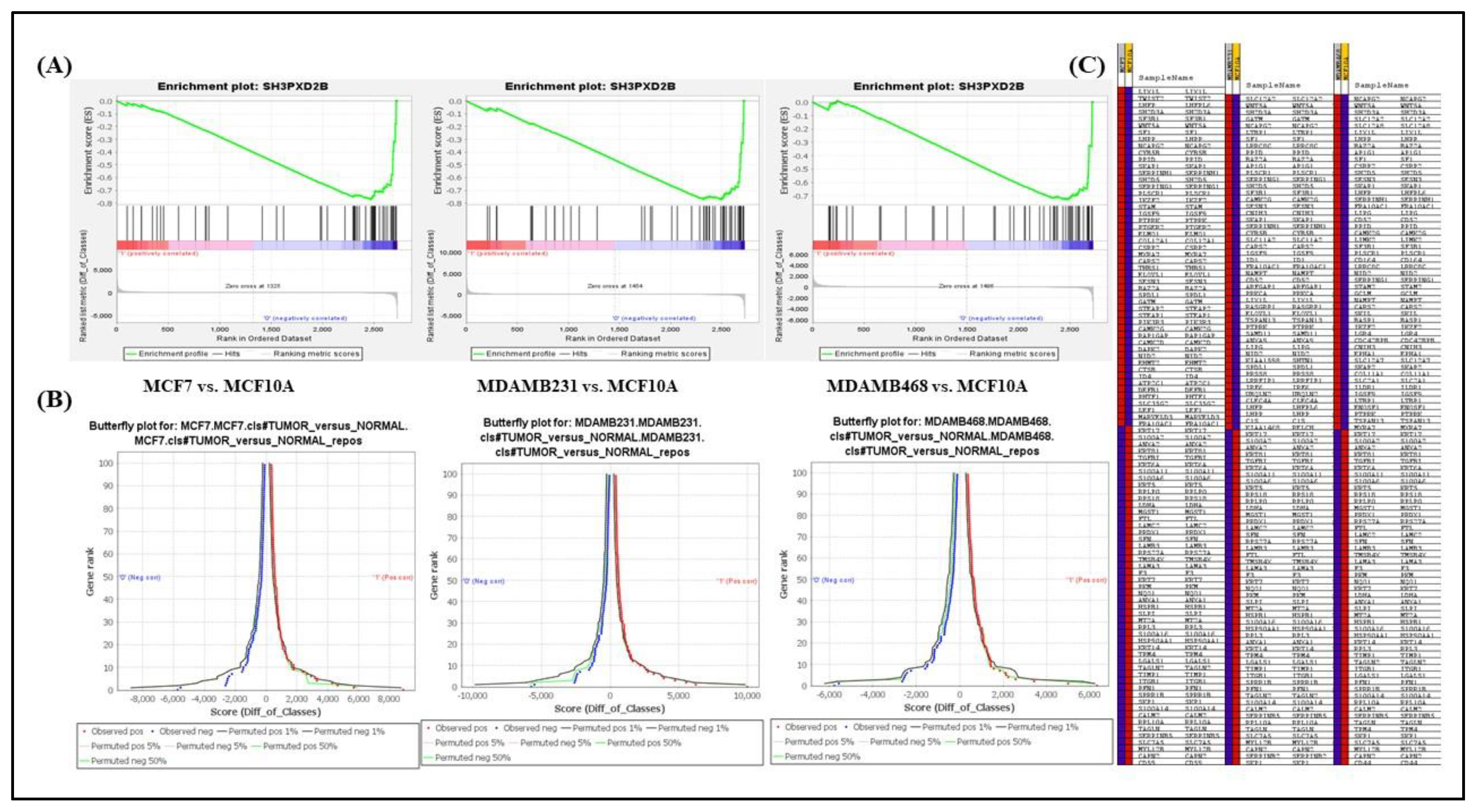 Preprints 84791 g005