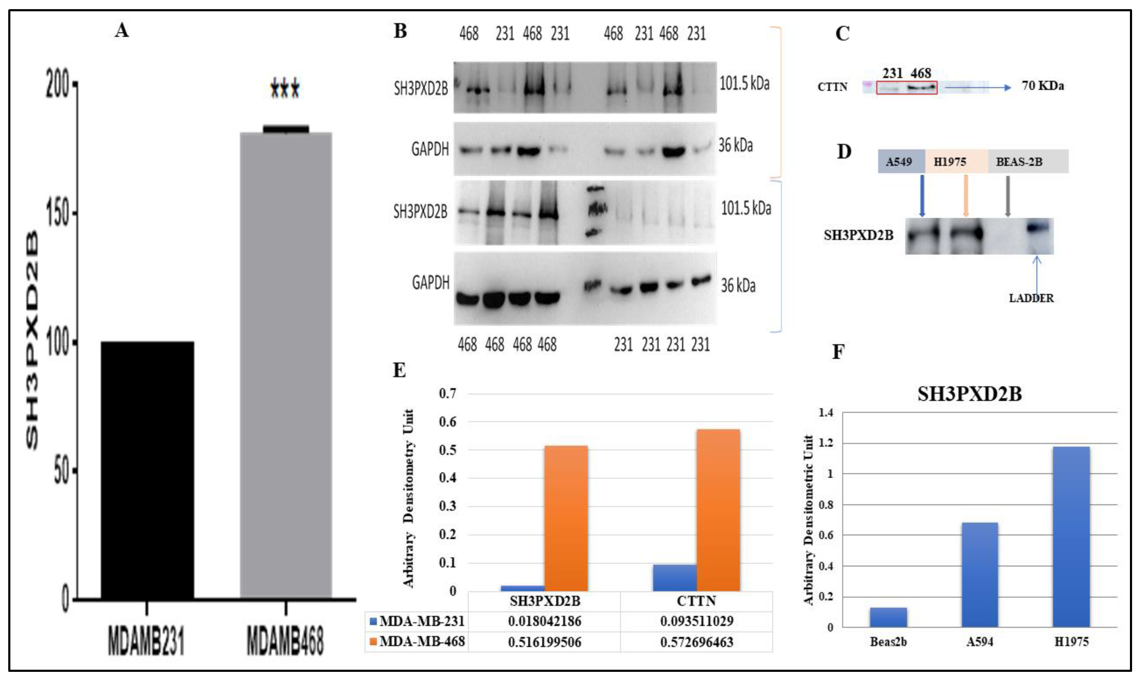 Preprints 84791 g006