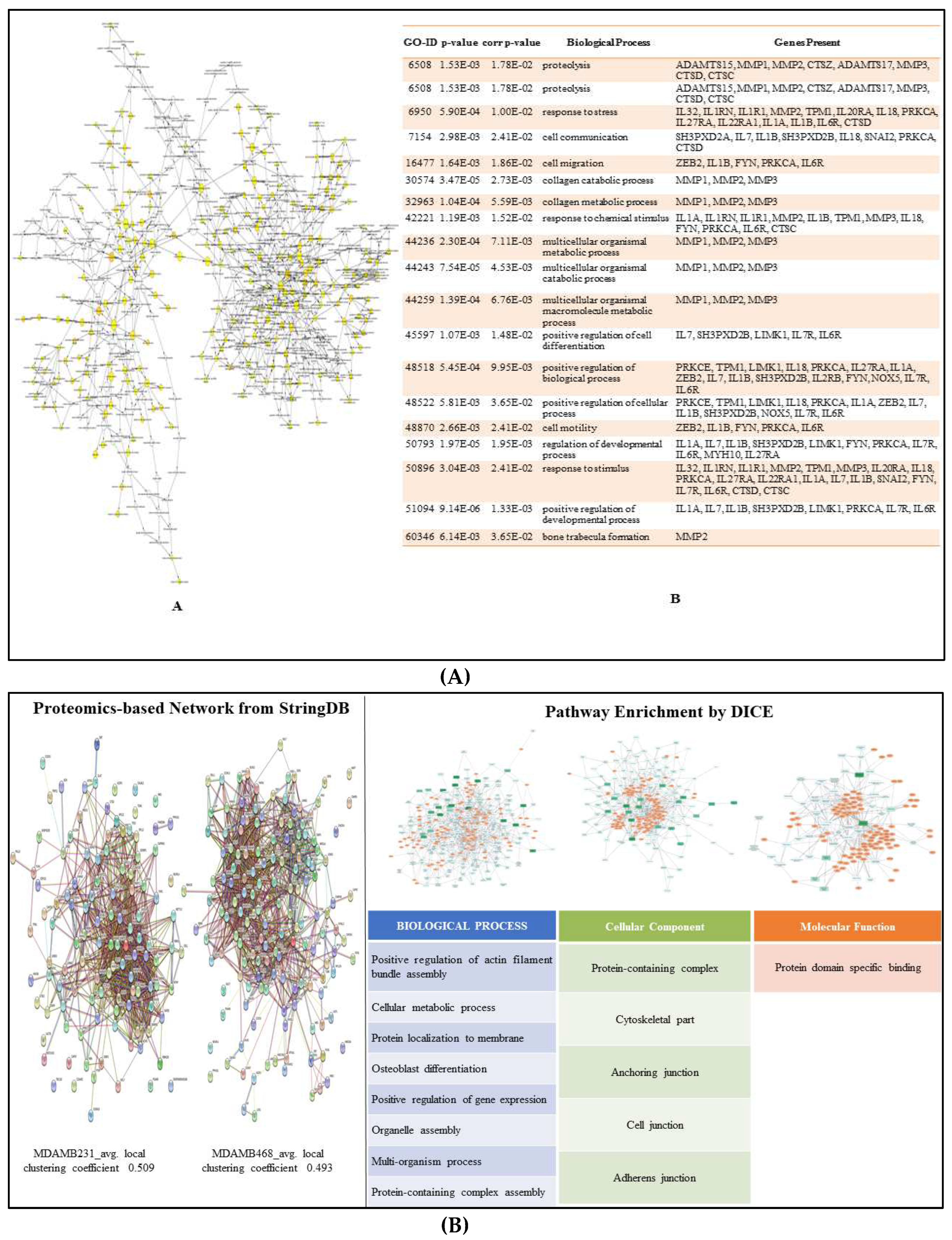 Preprints 84791 g009