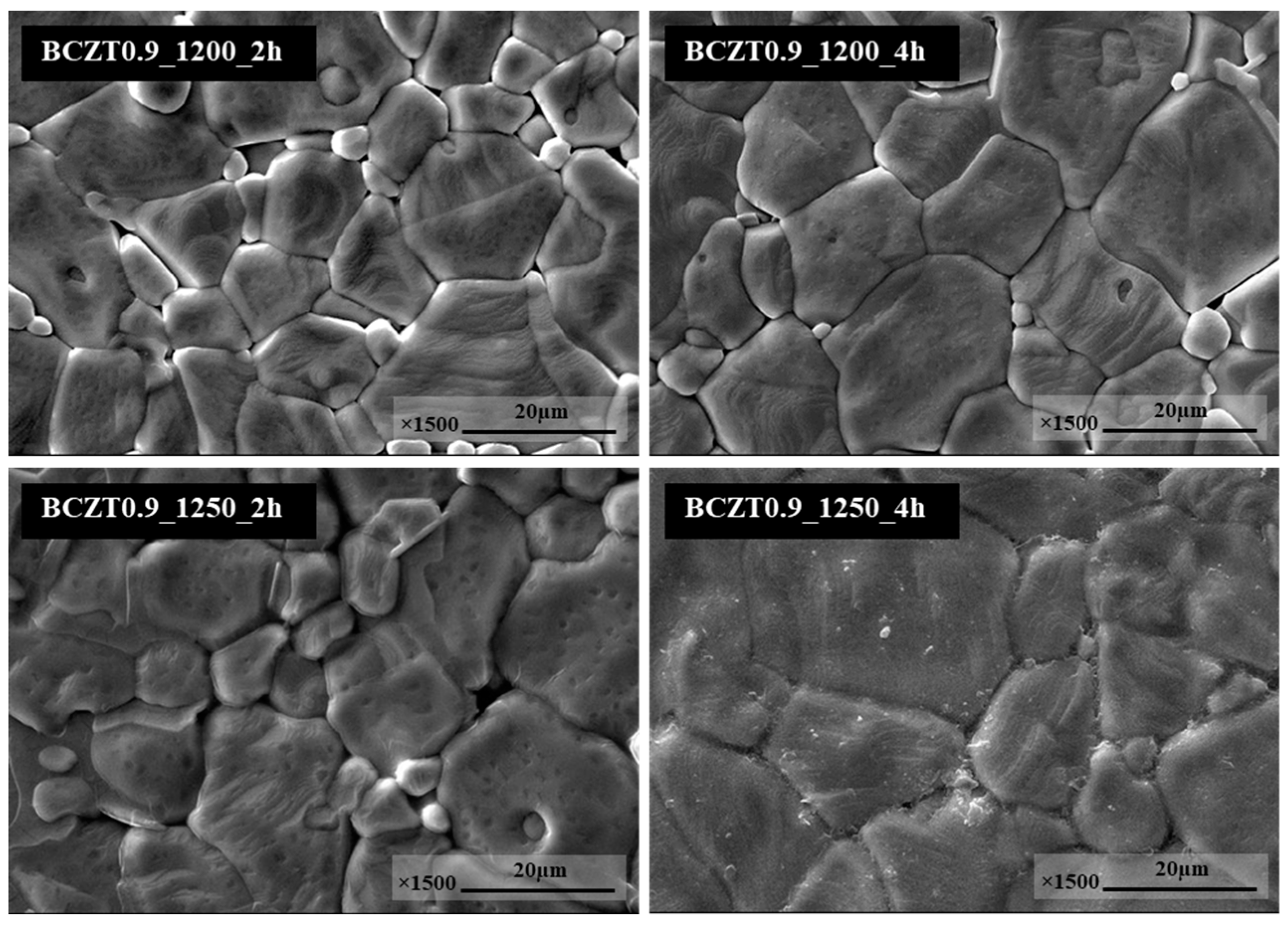 Preprints 76317 g005