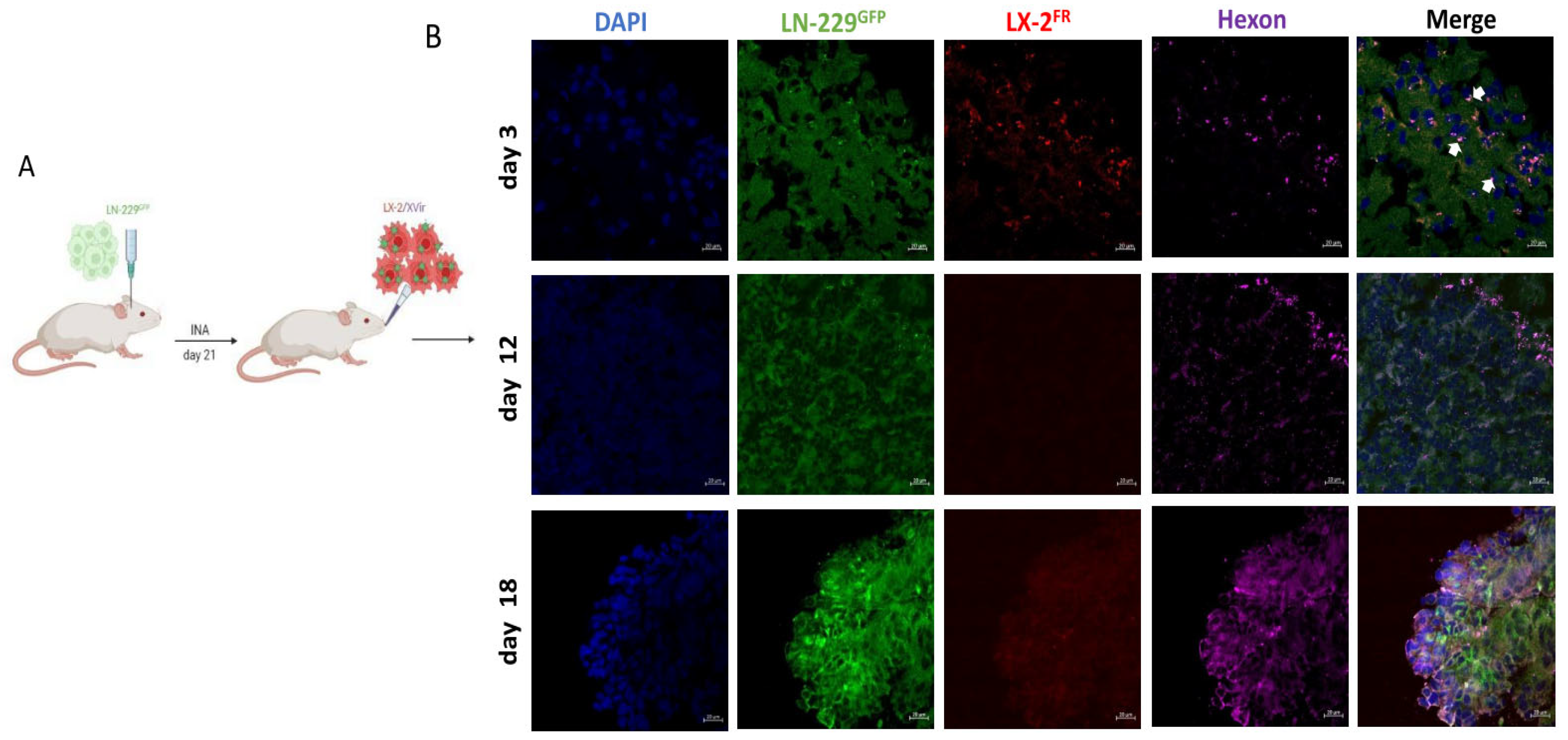 Preprints 82936 g001