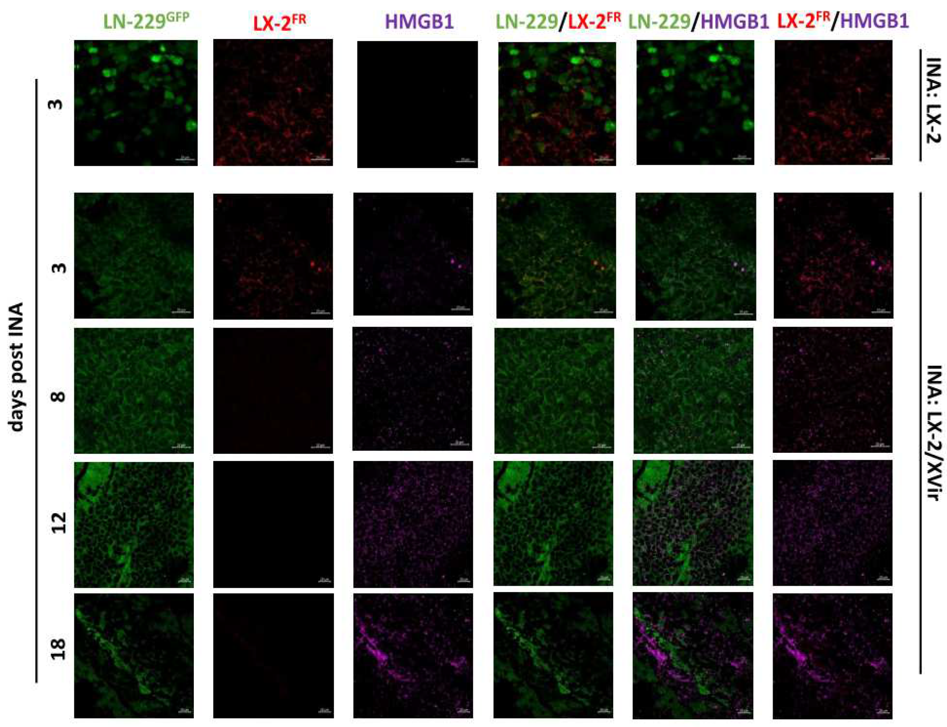 Preprints 82936 g003