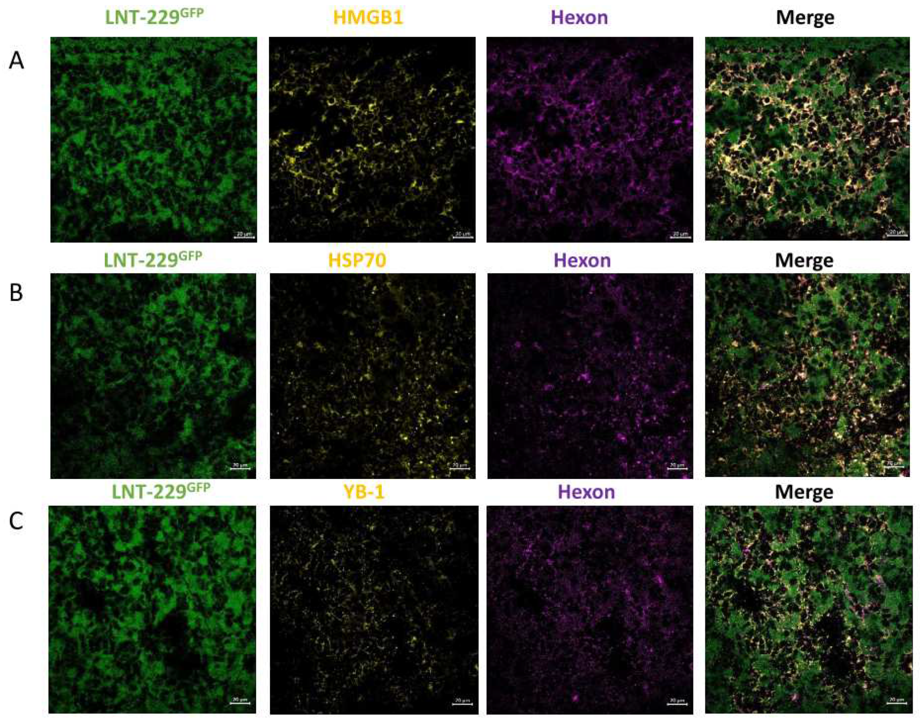 Preprints 82936 g004