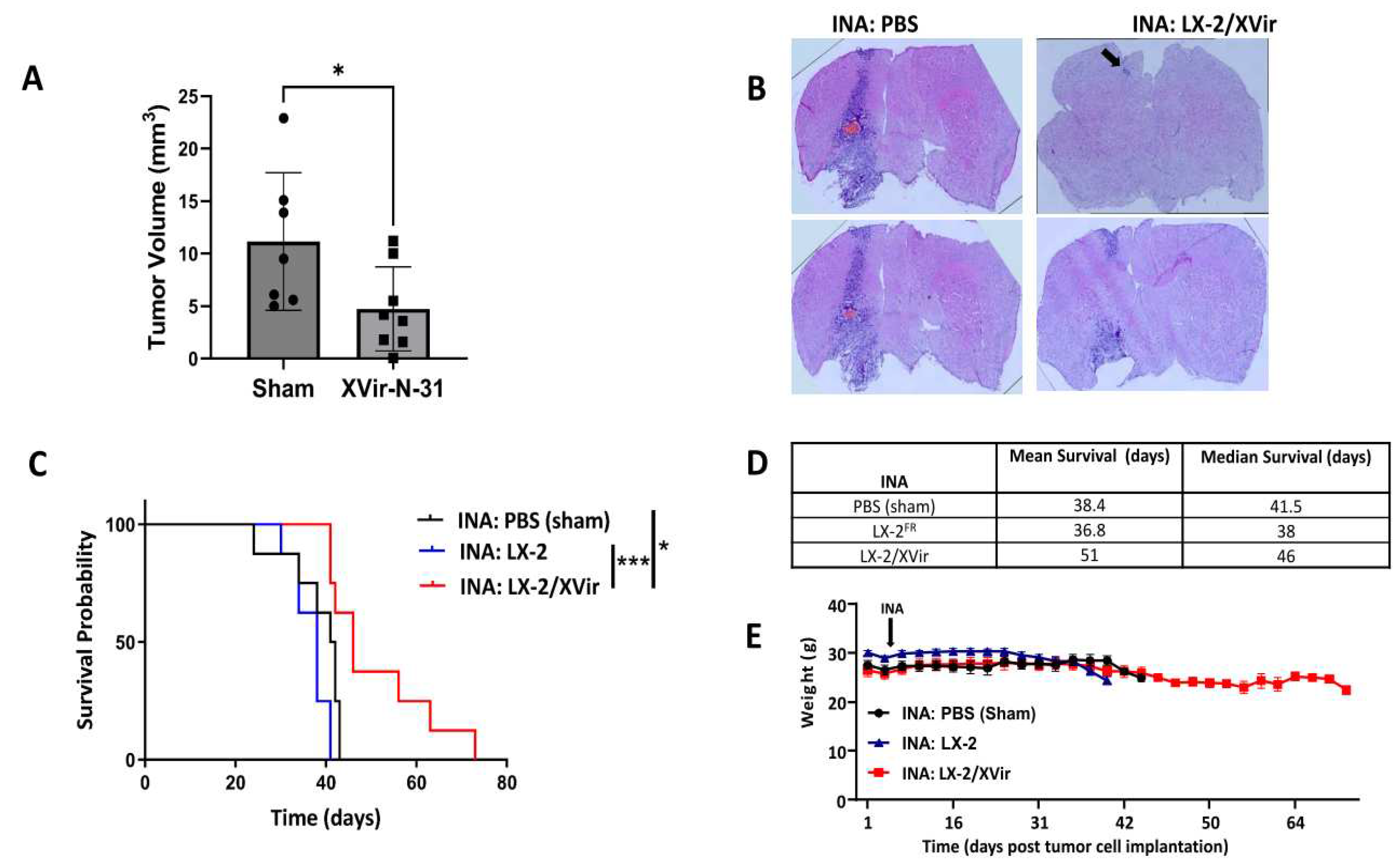 Preprints 82936 g005