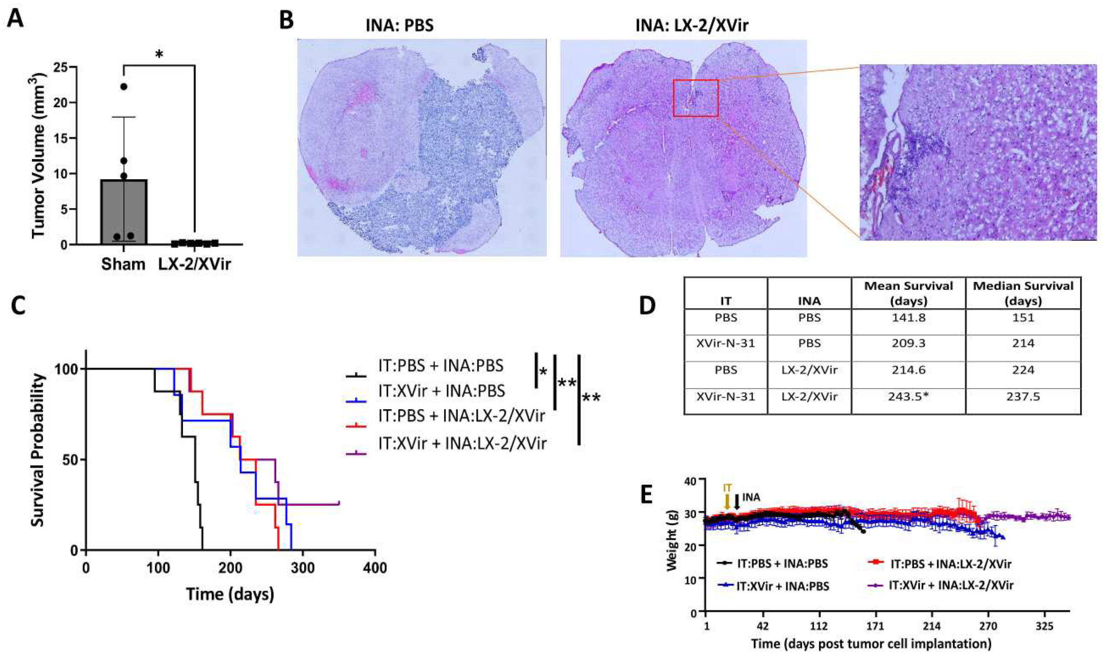 Preprints 82936 g006