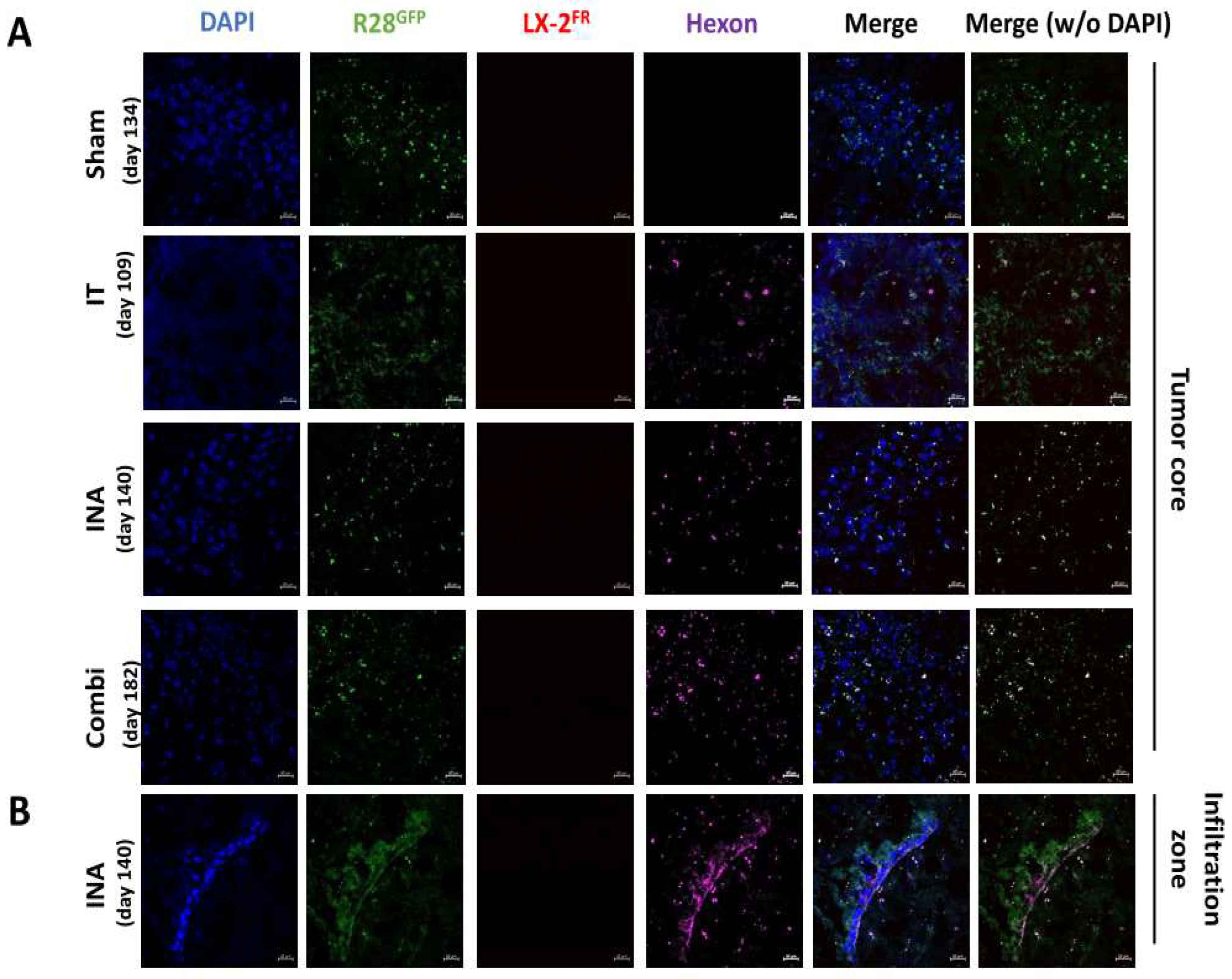 Preprints 82936 g007