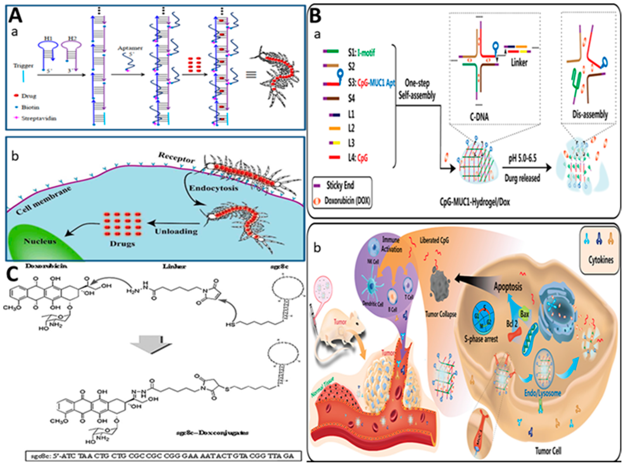 Preprints 93950 g002